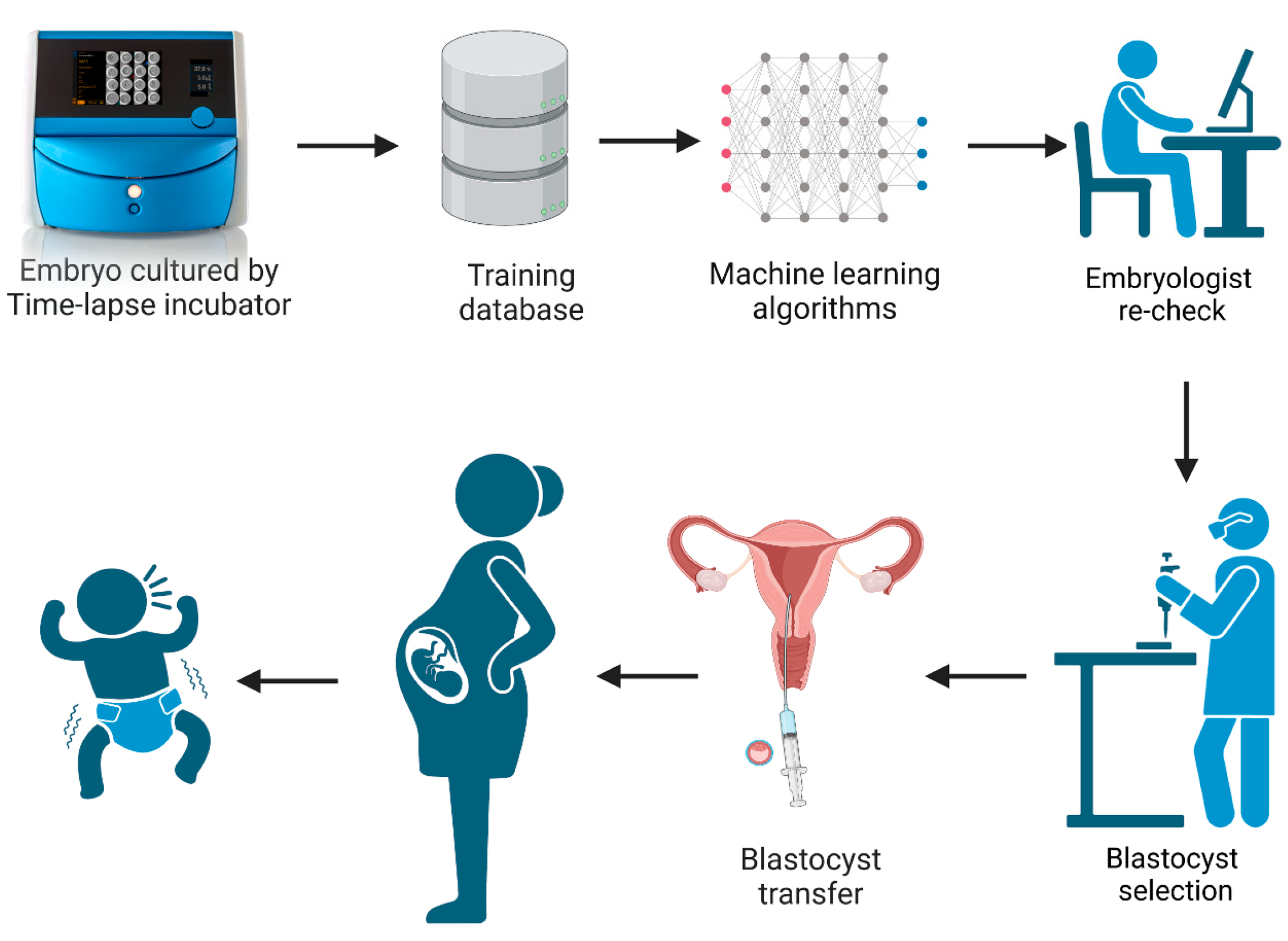 Biomedicines 13 01734 g001