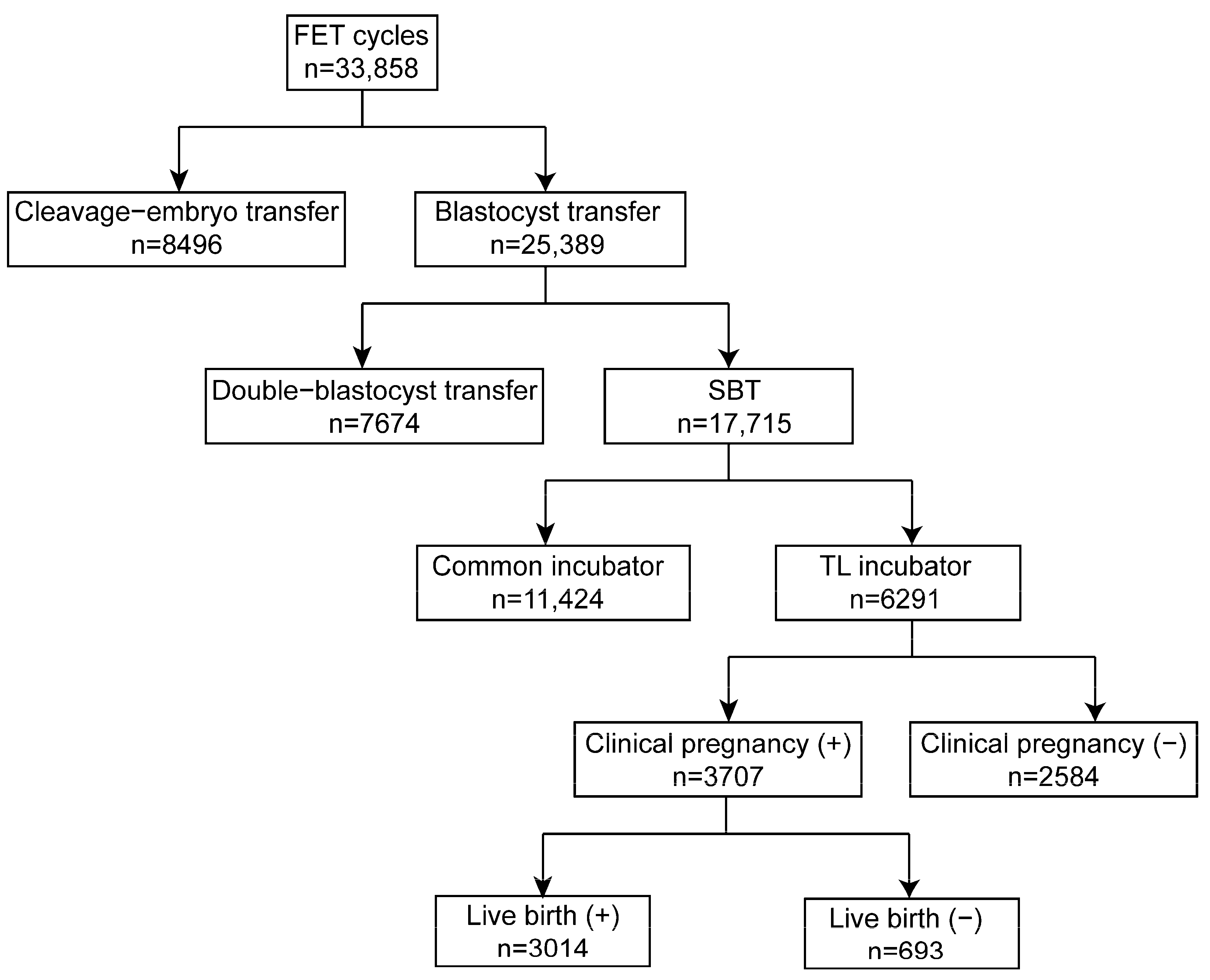 Biomedicines 13 01734 g002