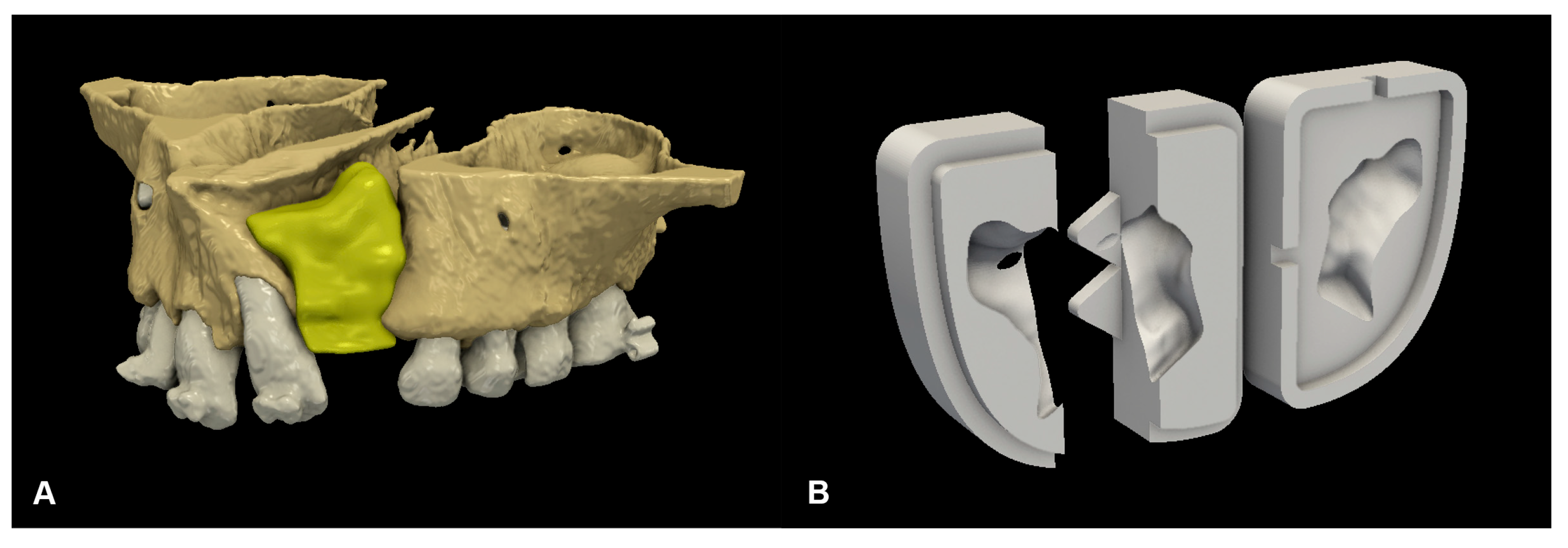 Biomedicines 13 01735 g001