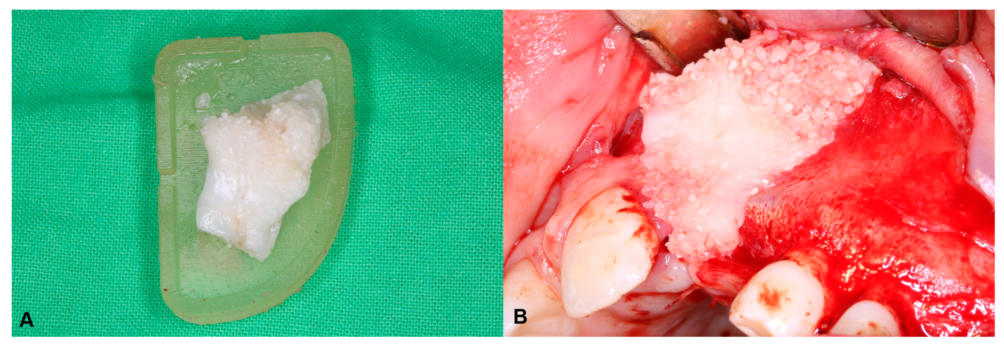 Biomedicines 13 01735 g002