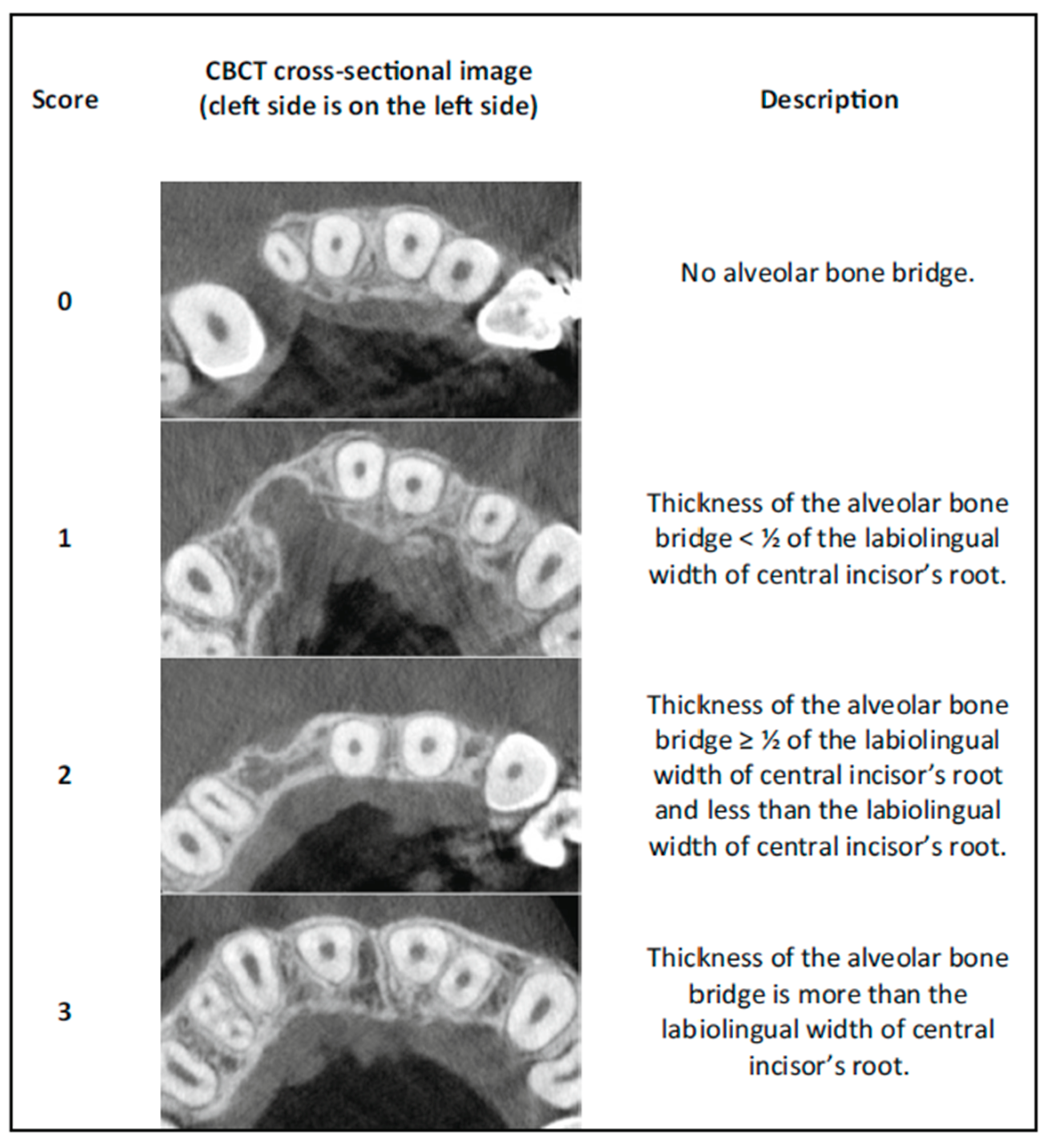 Biomedicines 13 01735 g003