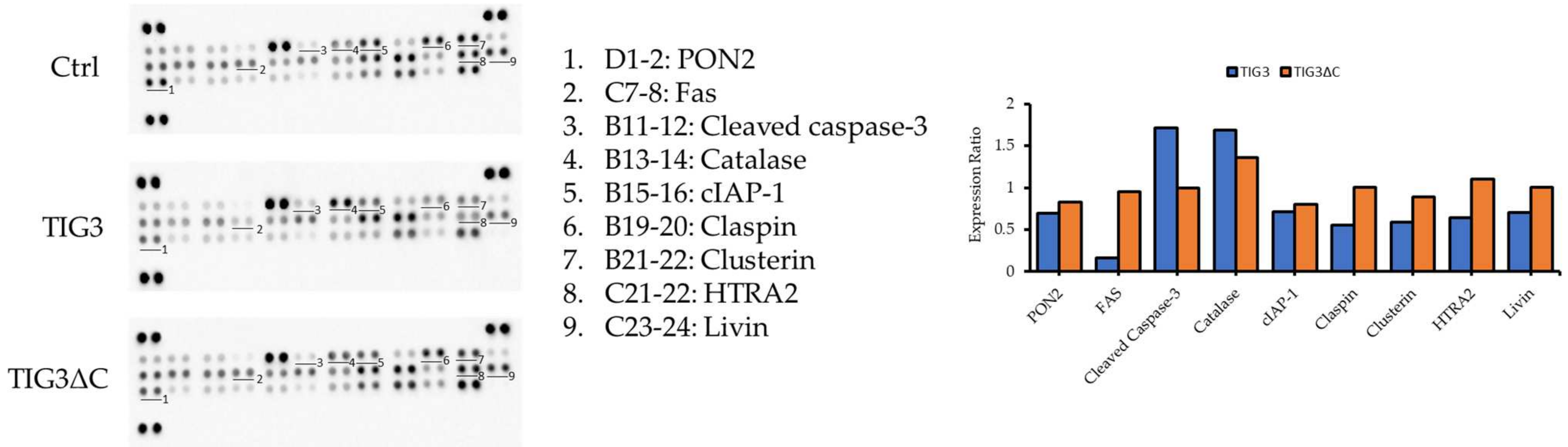Biomedicines 13 01749 g002