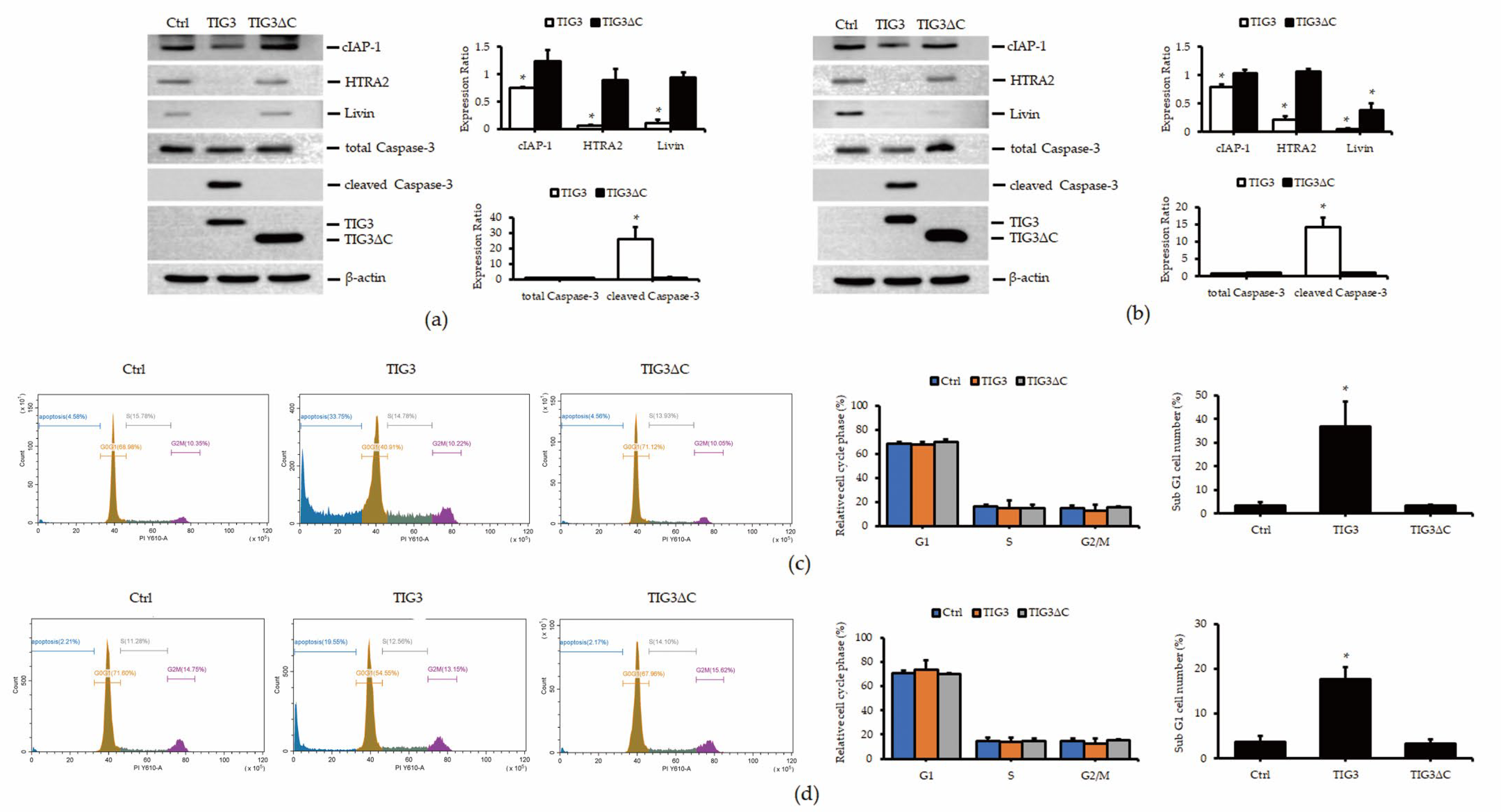Biomedicines 13 01749 g003