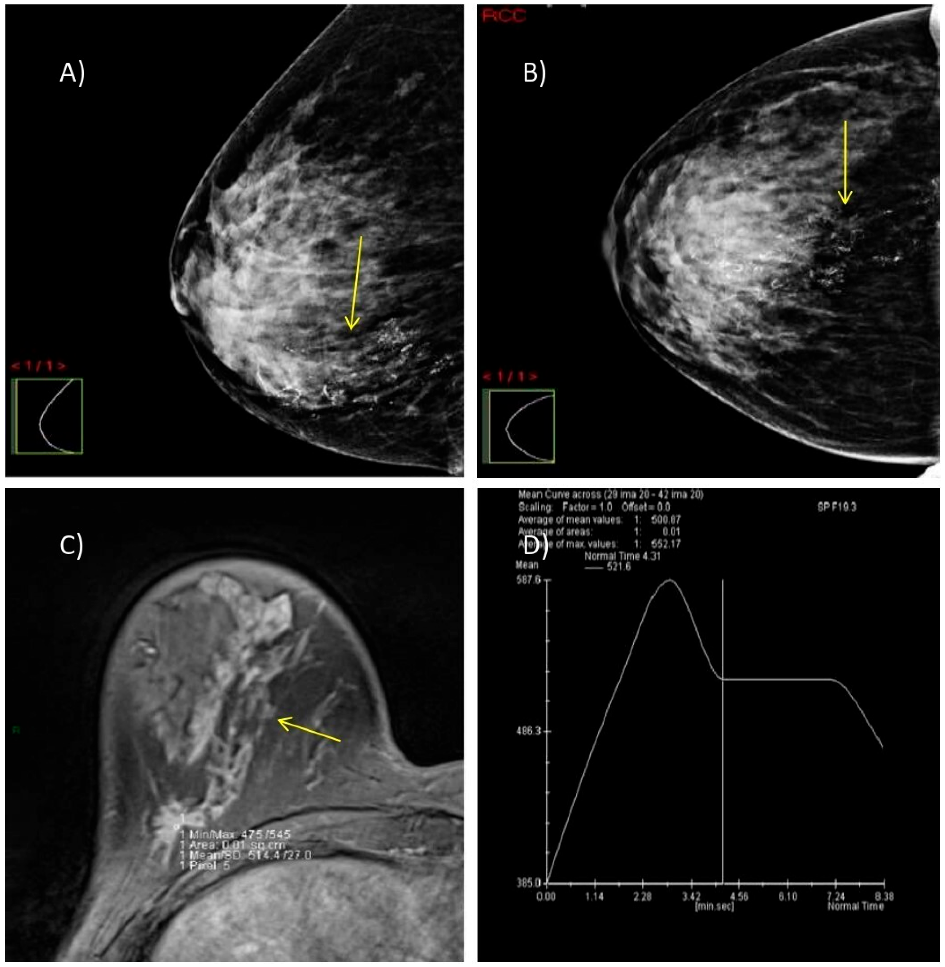Biomedicines 13 01750 g005 Biomedicines 13 01750 g005