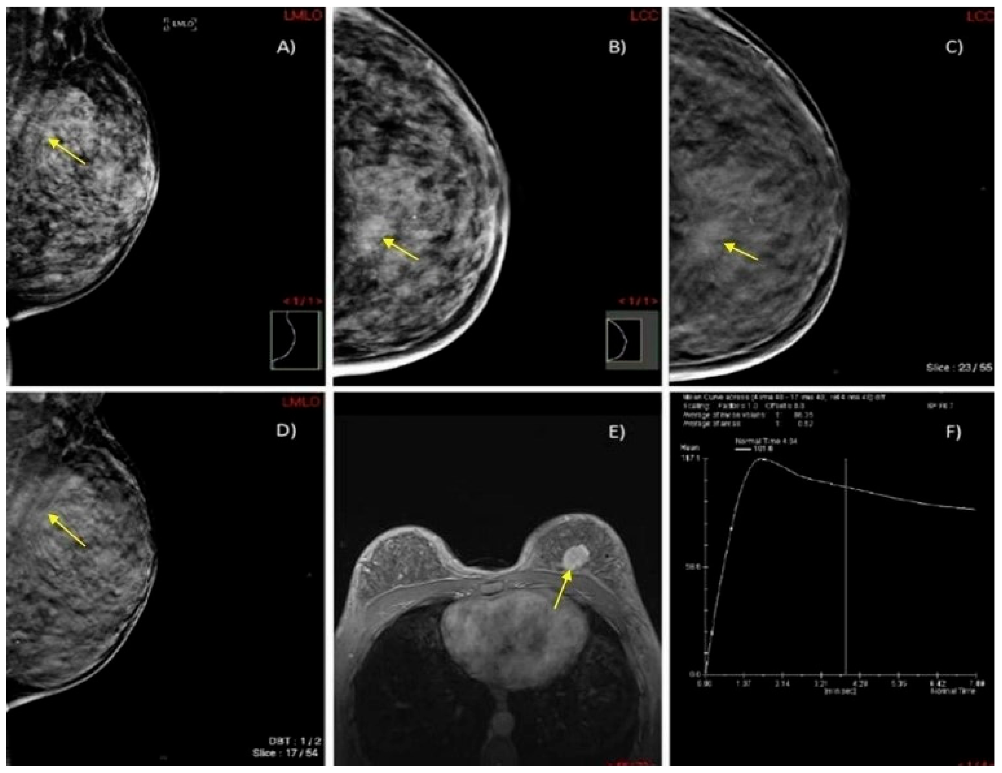 Biomedicines 13 01750 g006 Biomedicines 13 01750 g006