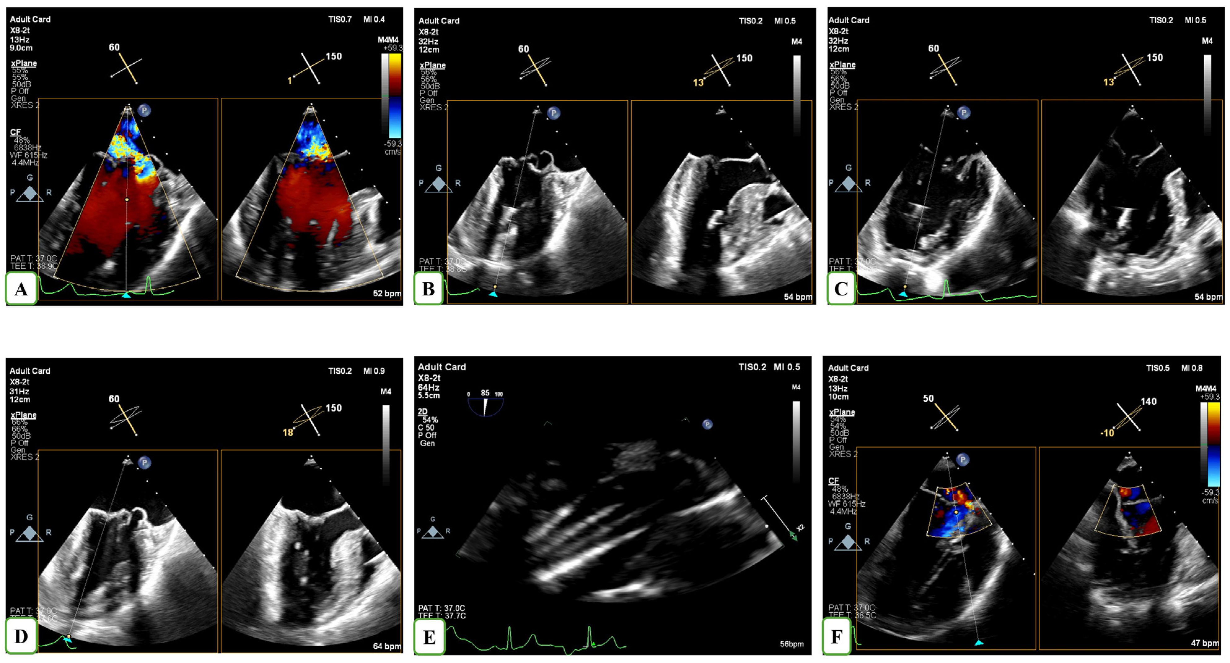 Biomedicines 13 01751 g001