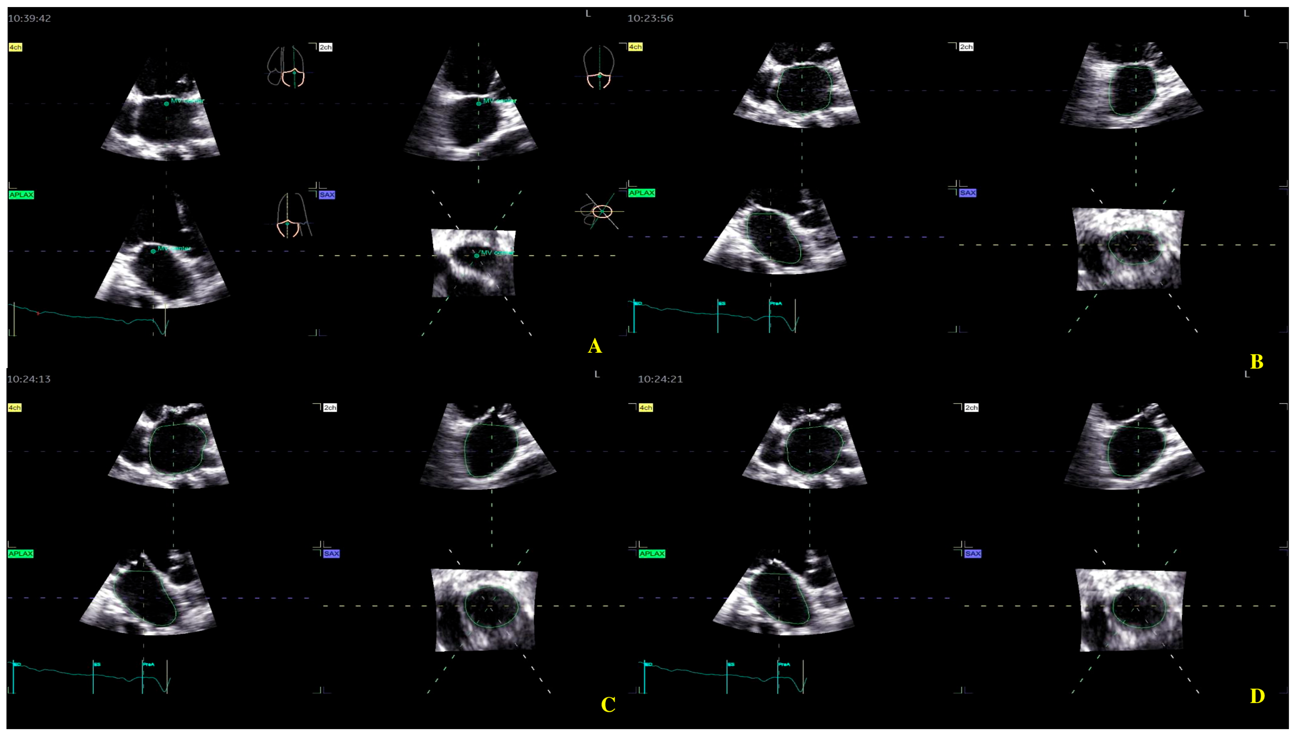 Biomedicines 13 01753 g002