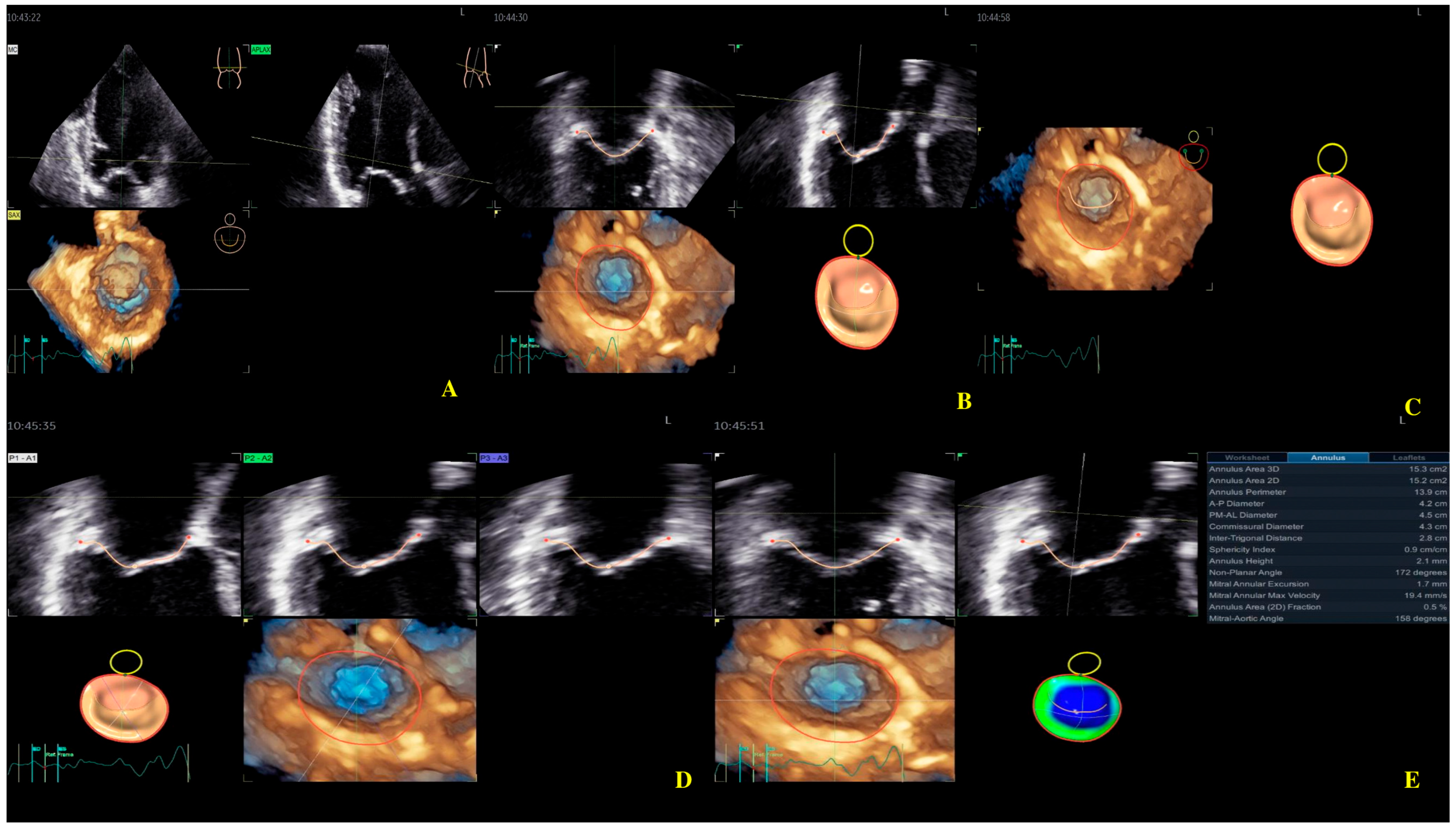 Biomedicines 13 01753 g004