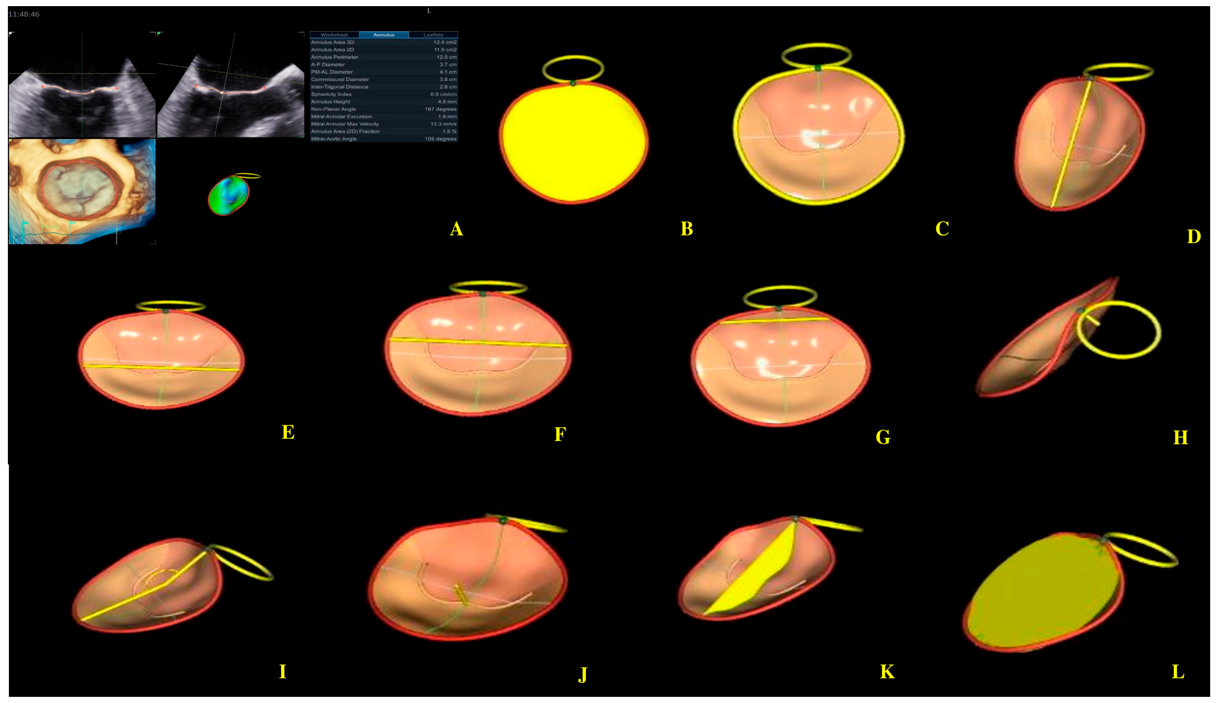 Biomedicines 13 01753 g005