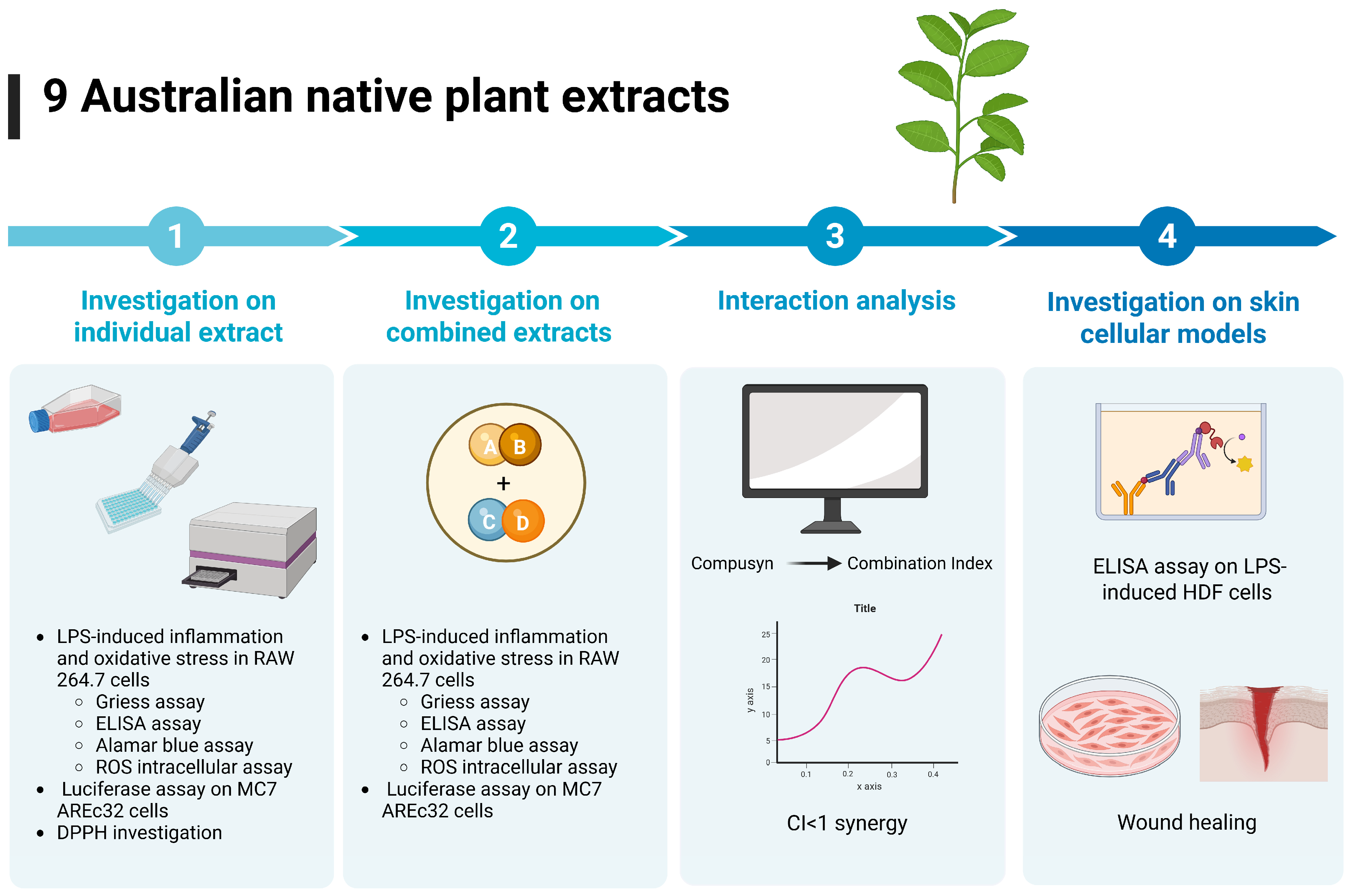 Biomedicines 13 01754 g001