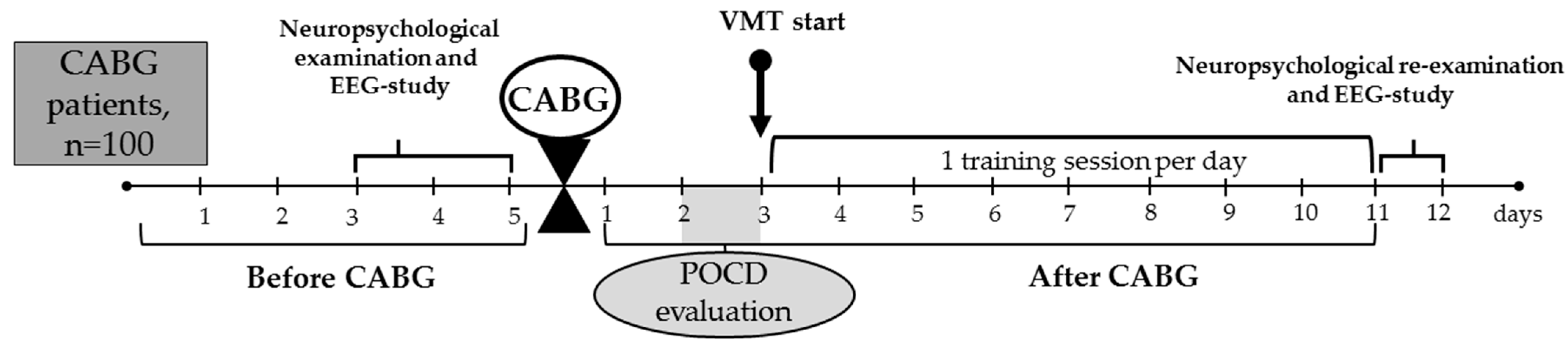 Biomedicines 13 01755 g001