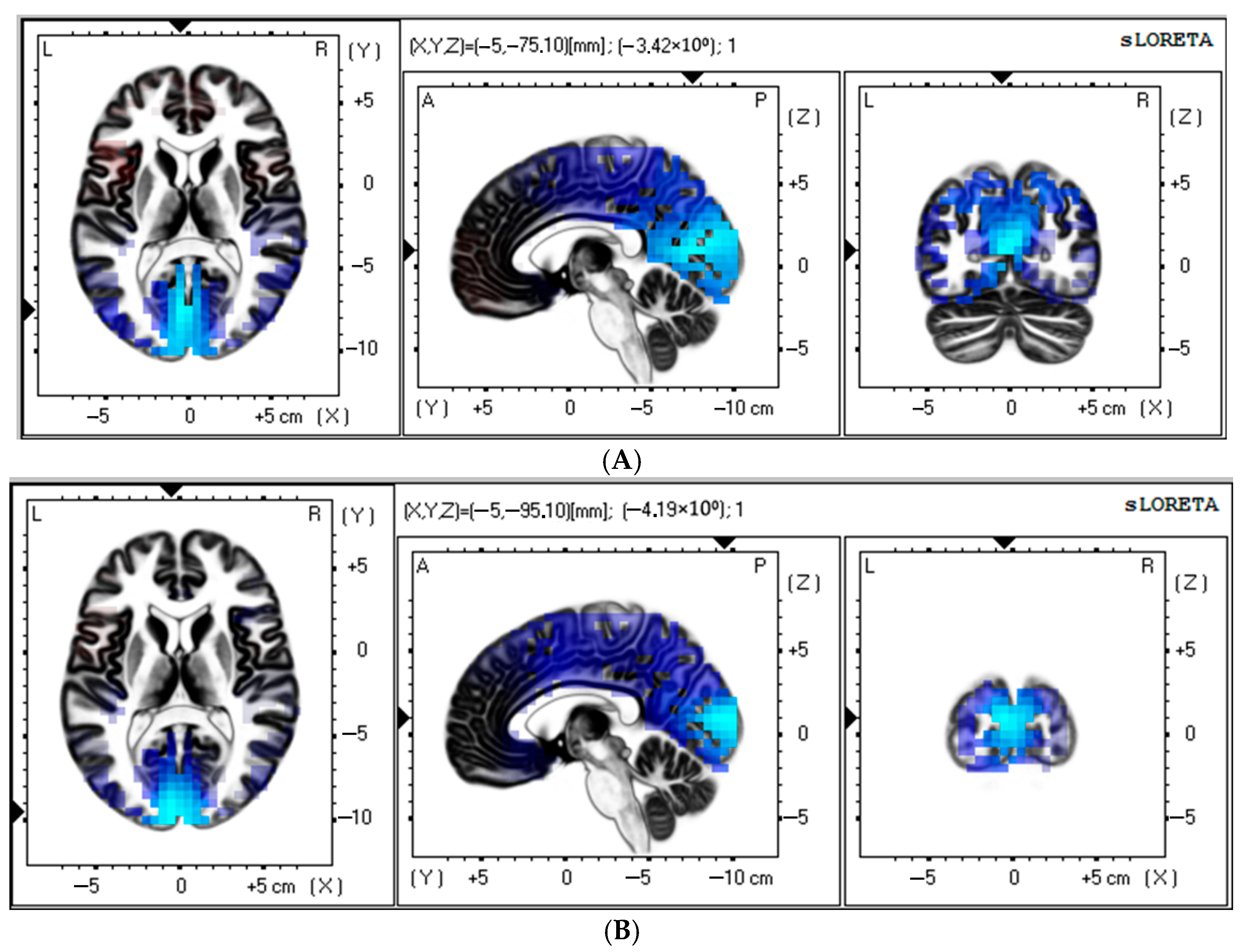 Biomedicines 13 01755 g003