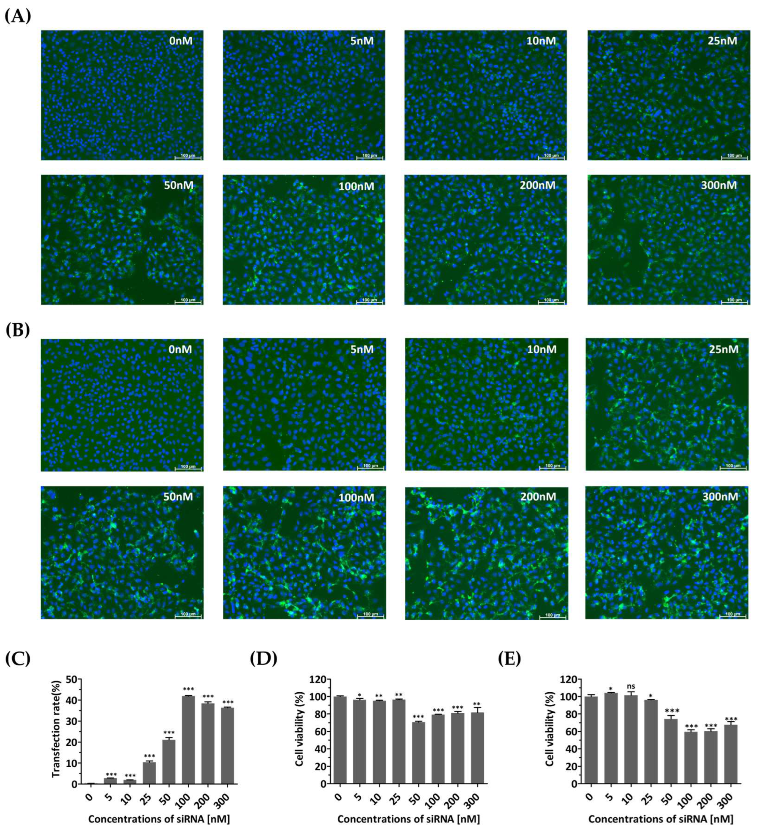 Biomedicines 13 01760 g002