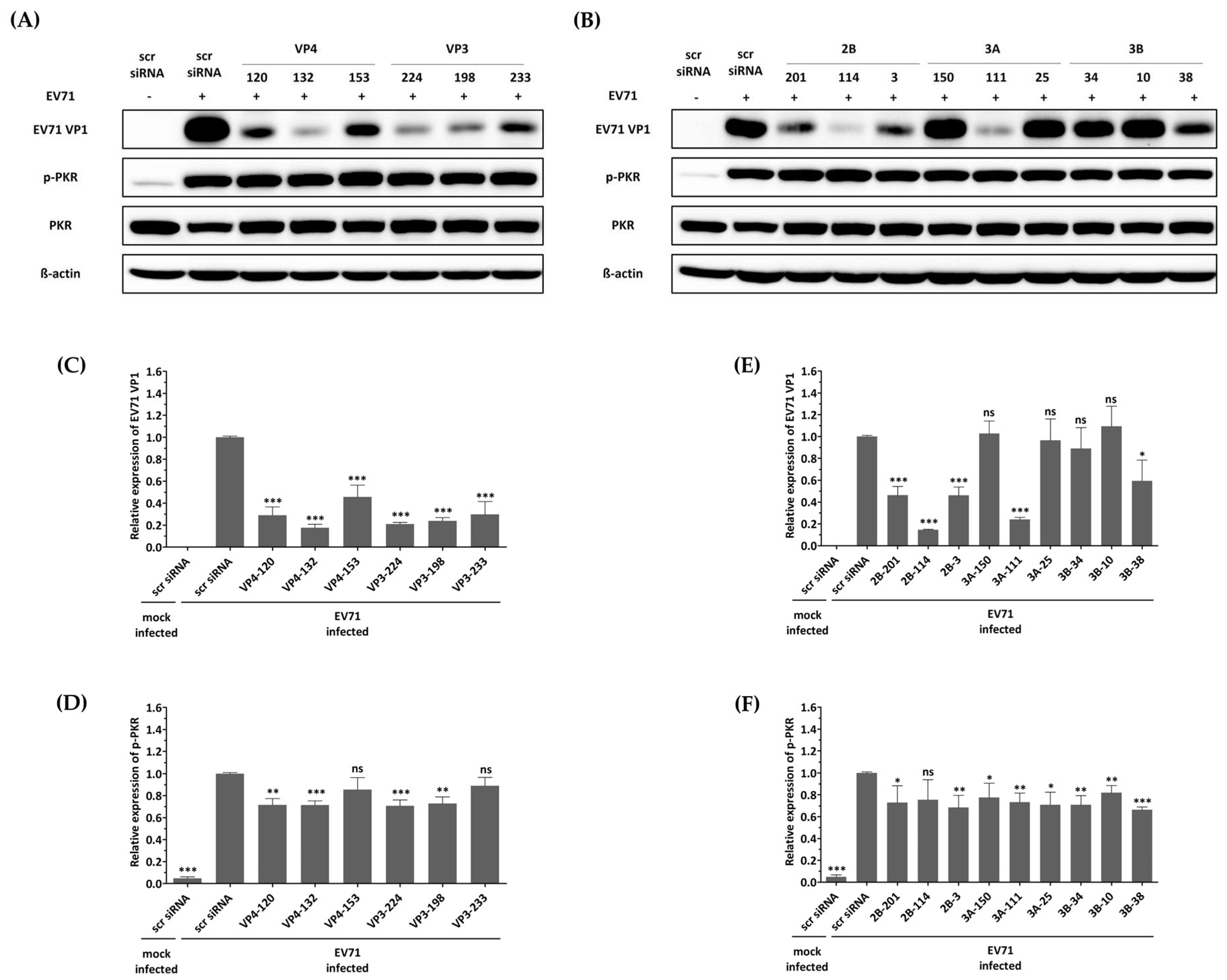 Biomedicines 13 01760 g004
