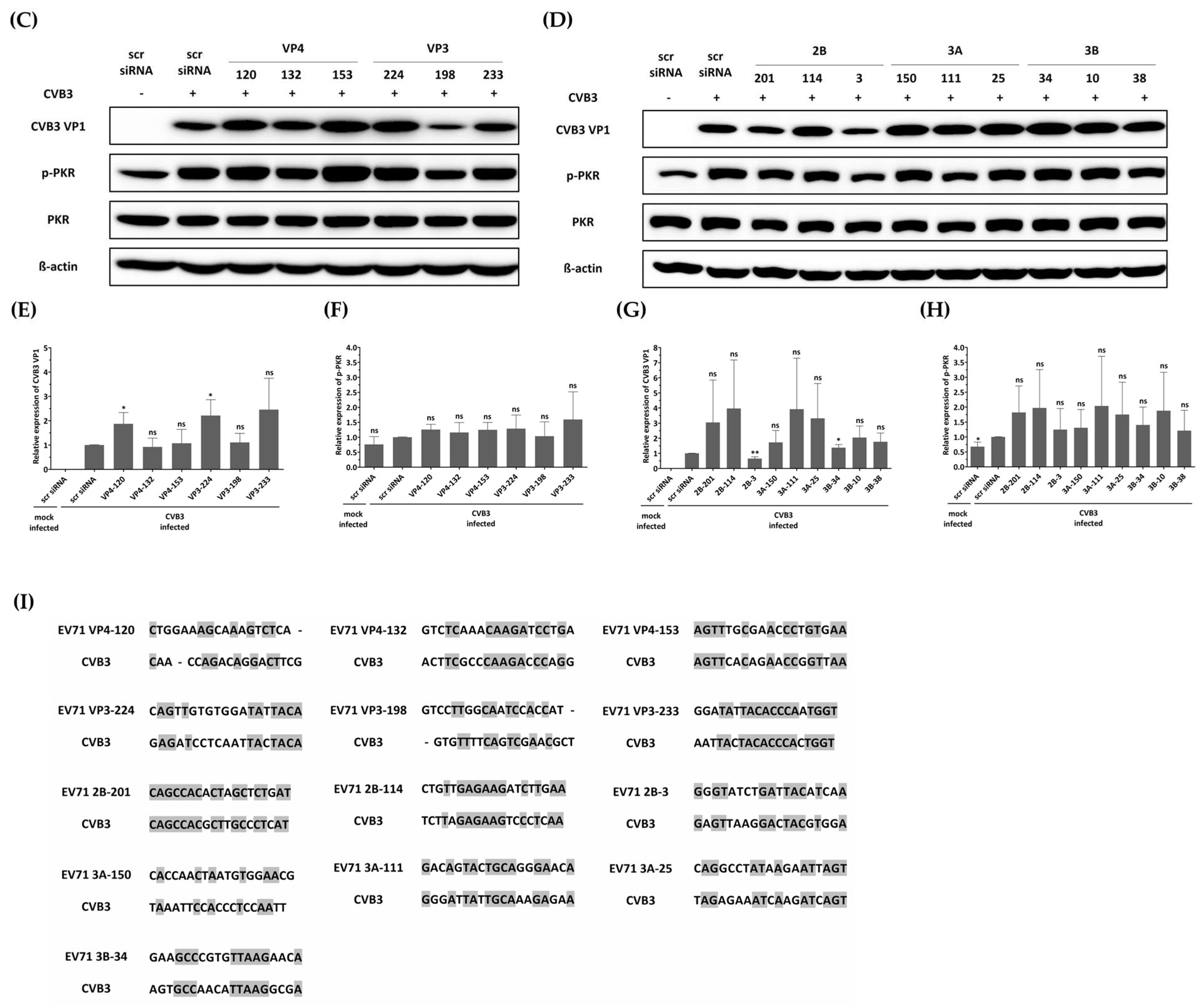Biomedicines 13 01760 g005b