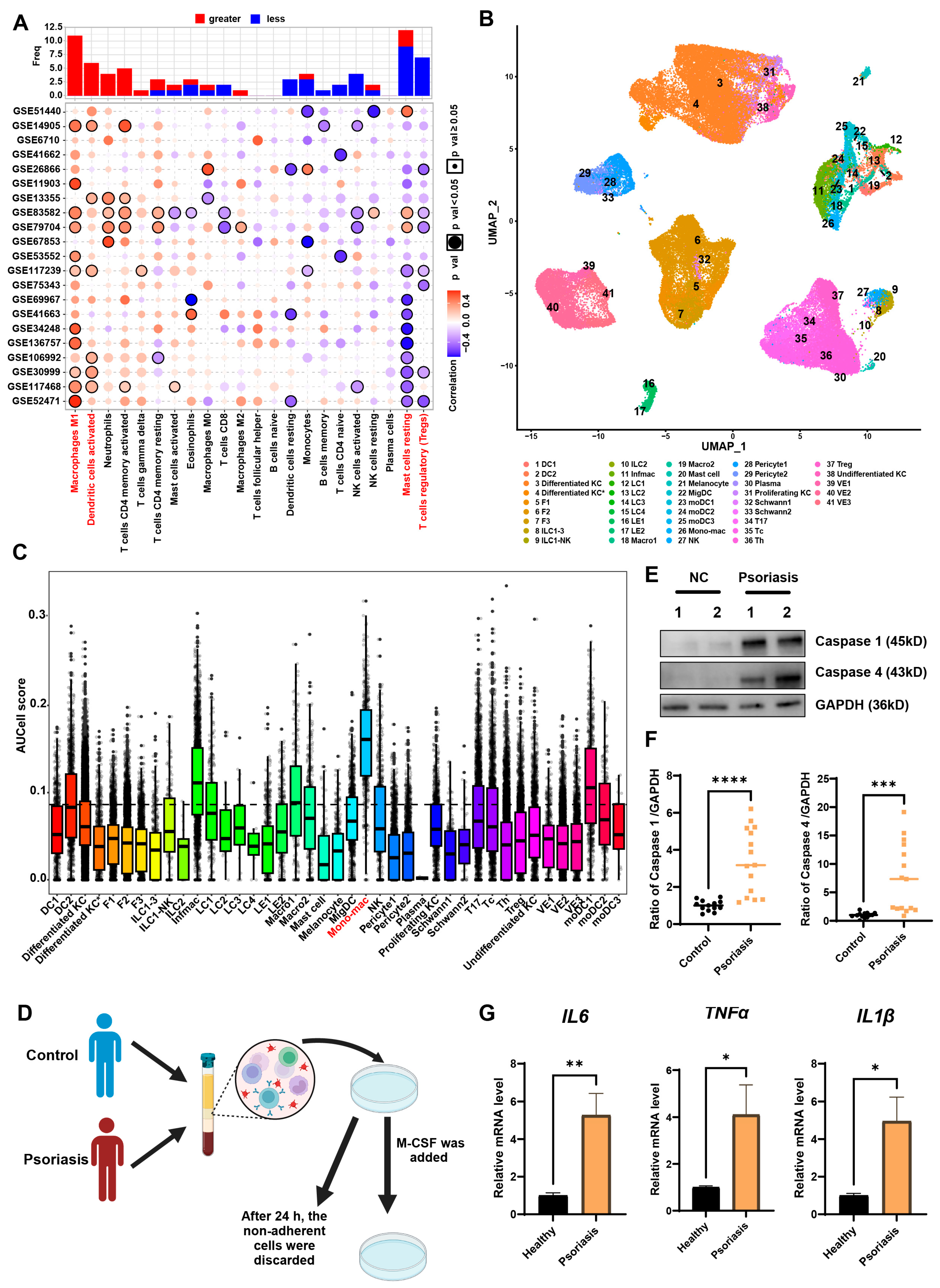Biomedicines 13 01763 g002