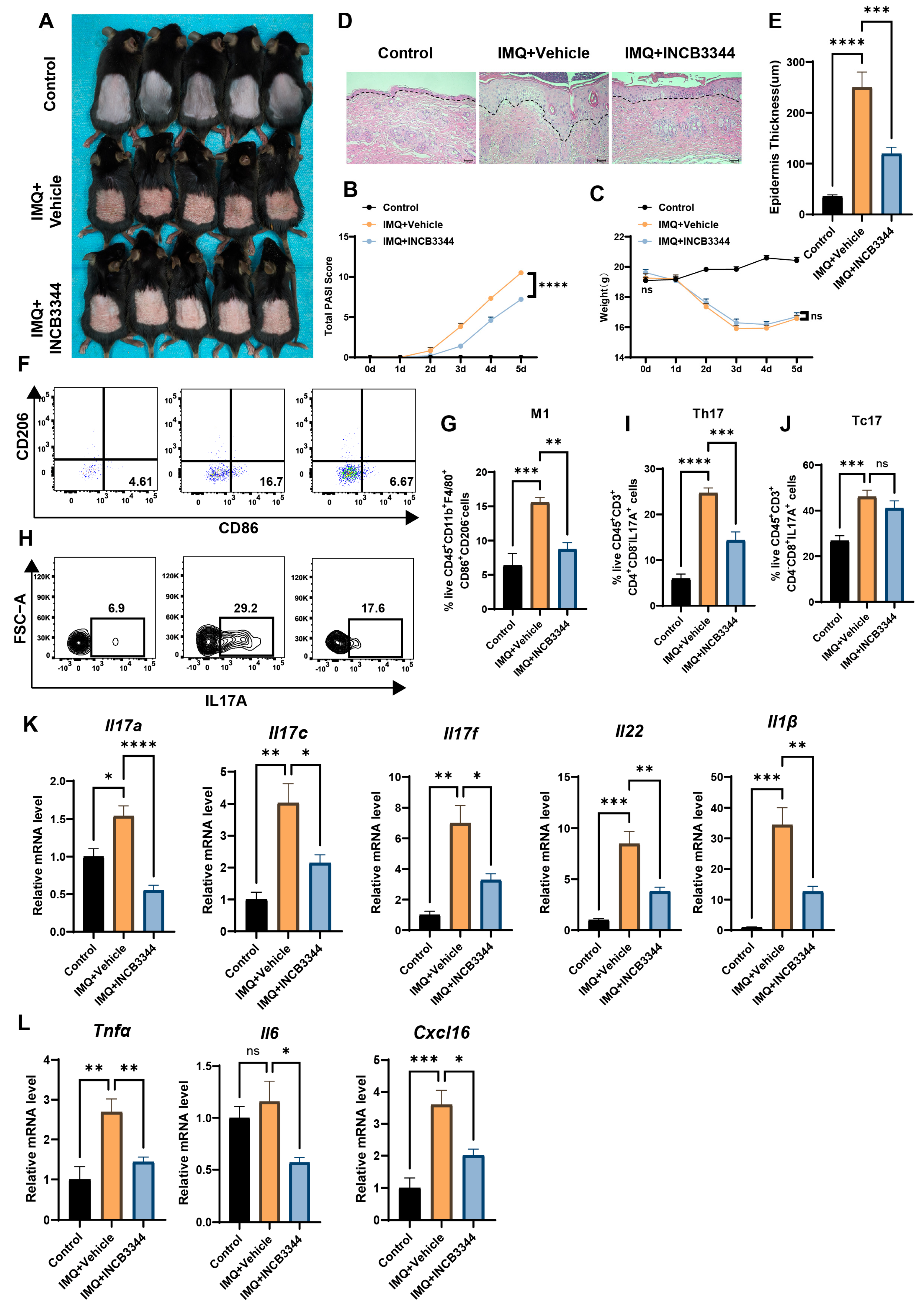 Biomedicines 13 01763 g004