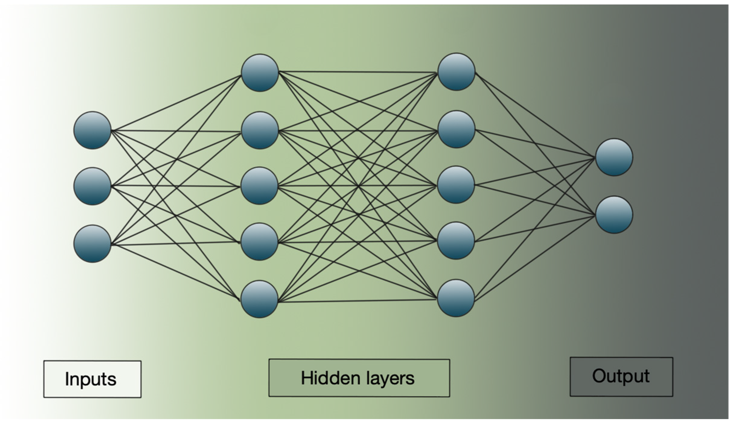 Biomedicines 13 01764 g002