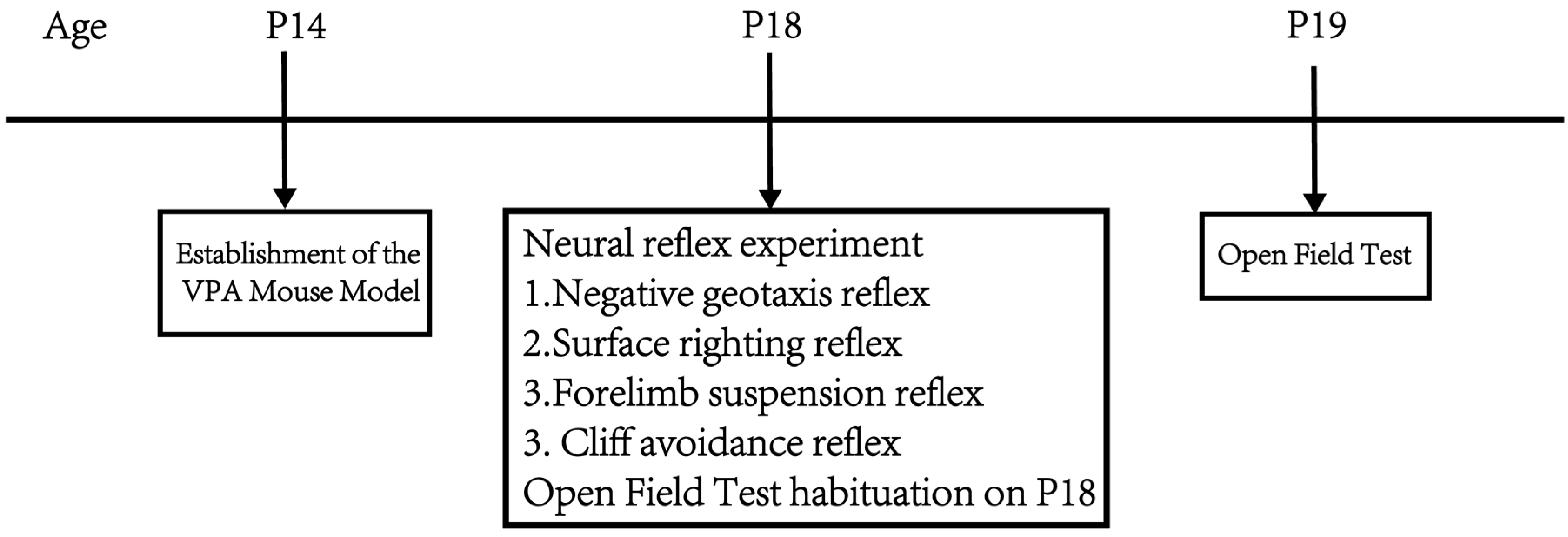 Biomedicines 13 01765 g001