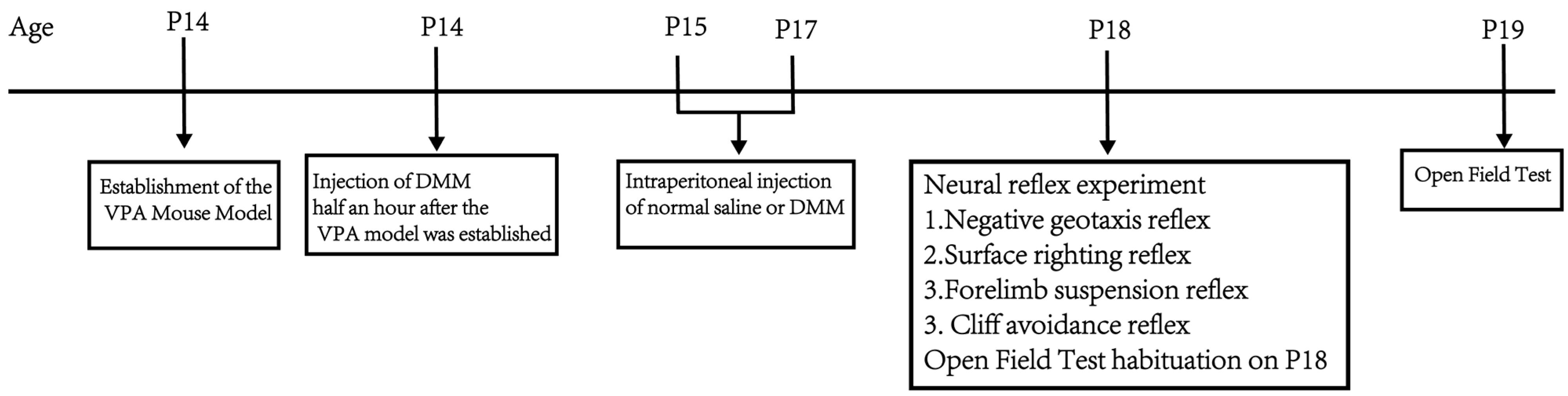 Biomedicines 13 01765 g002