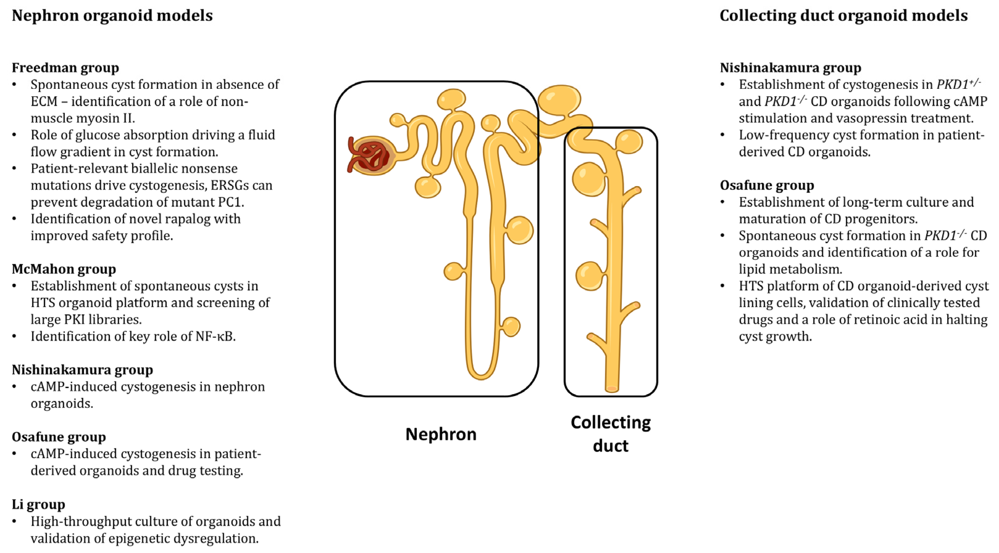 Biomedicines 13 01766 g001
