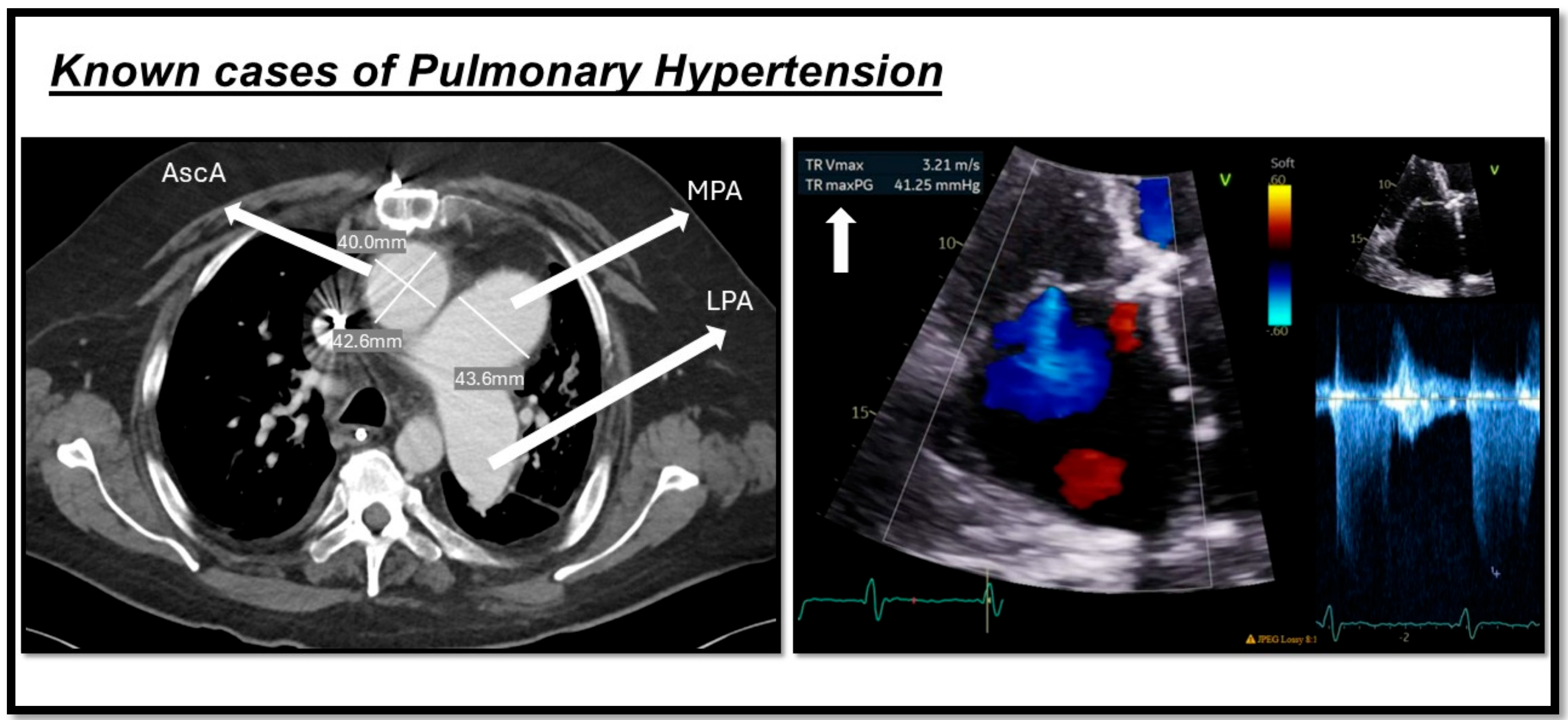 Biomedicines 13 01773 g002