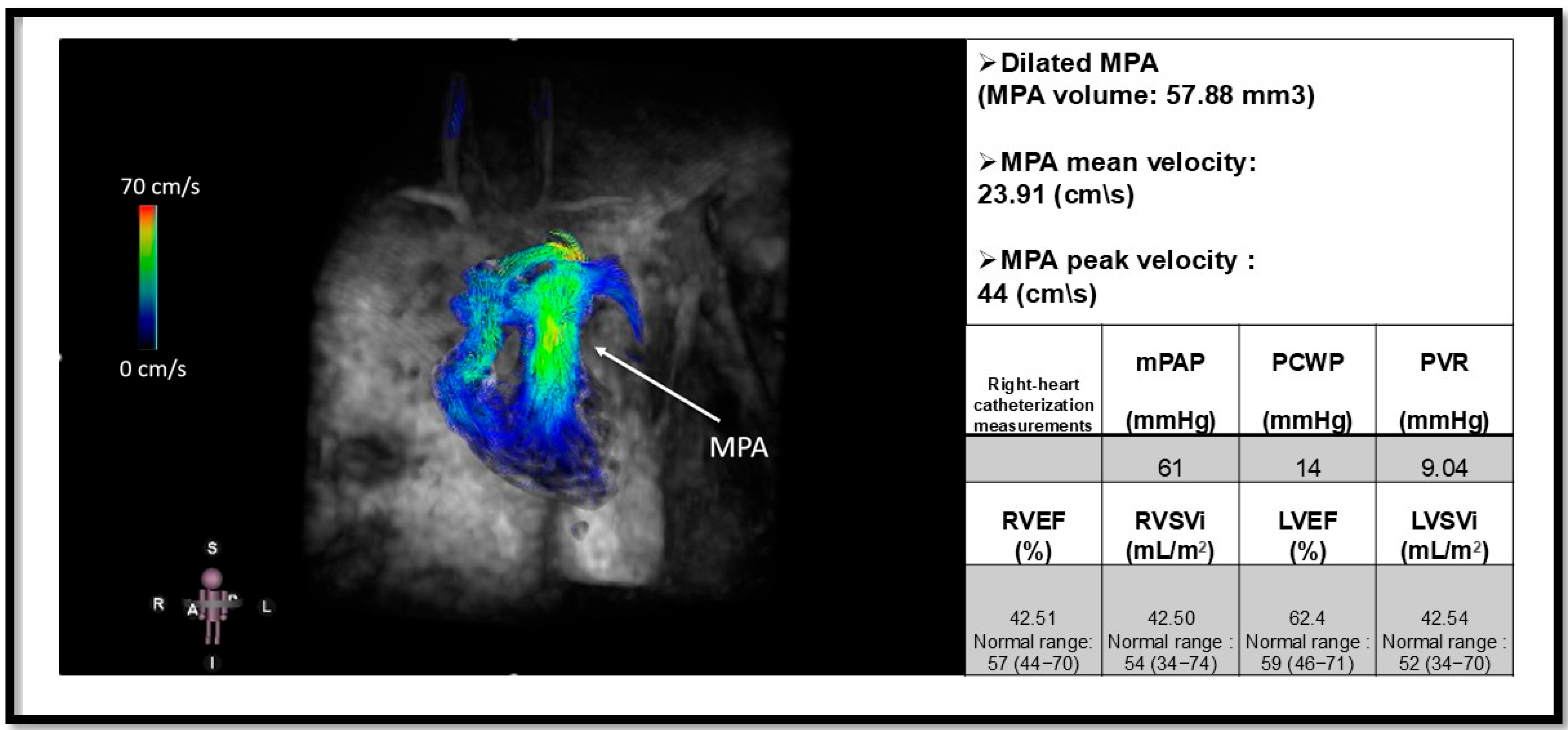 Biomedicines 13 01773 g006