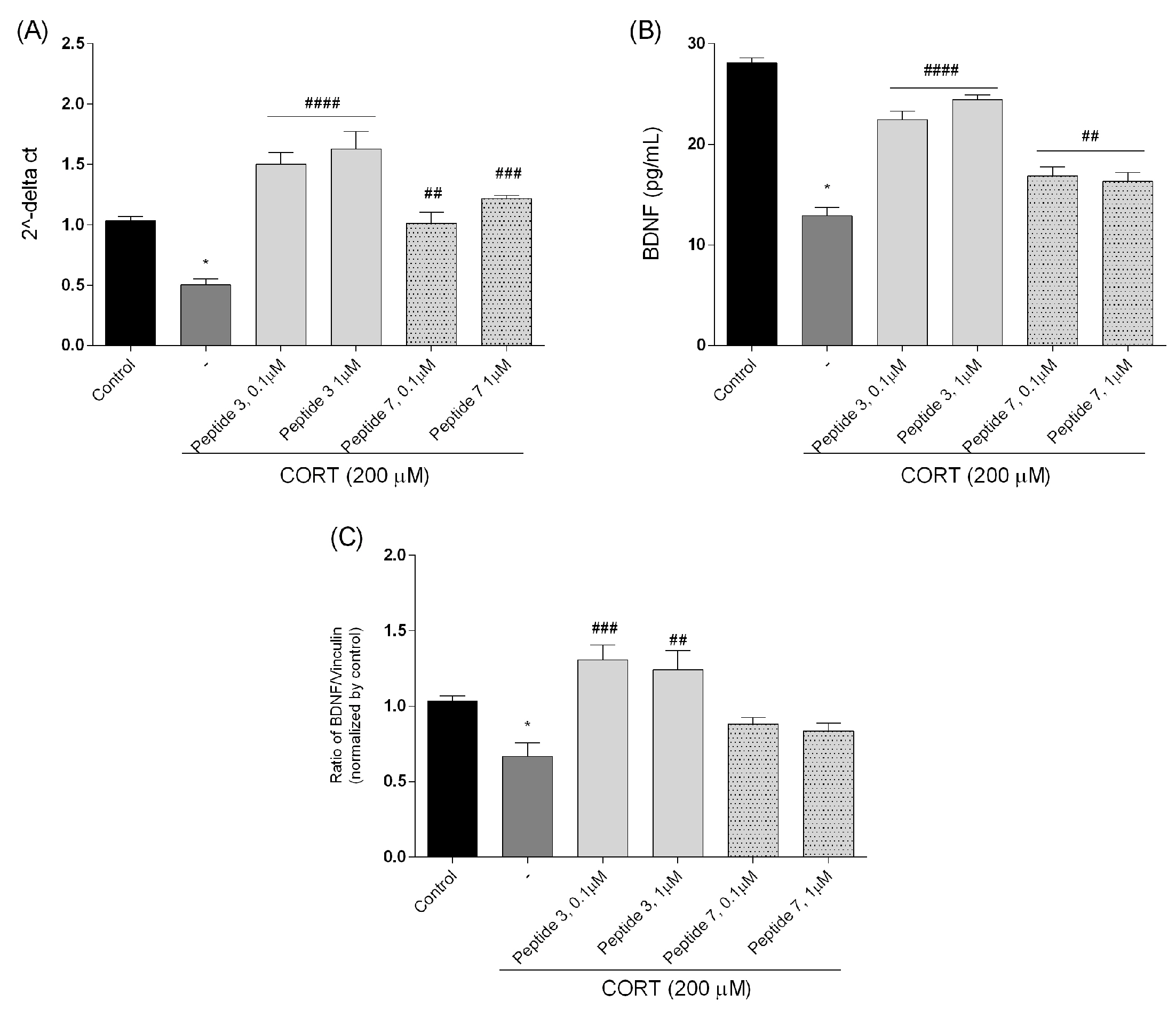 Biomedicines 13 01774 g013 Biomedicines 13 01774 g013