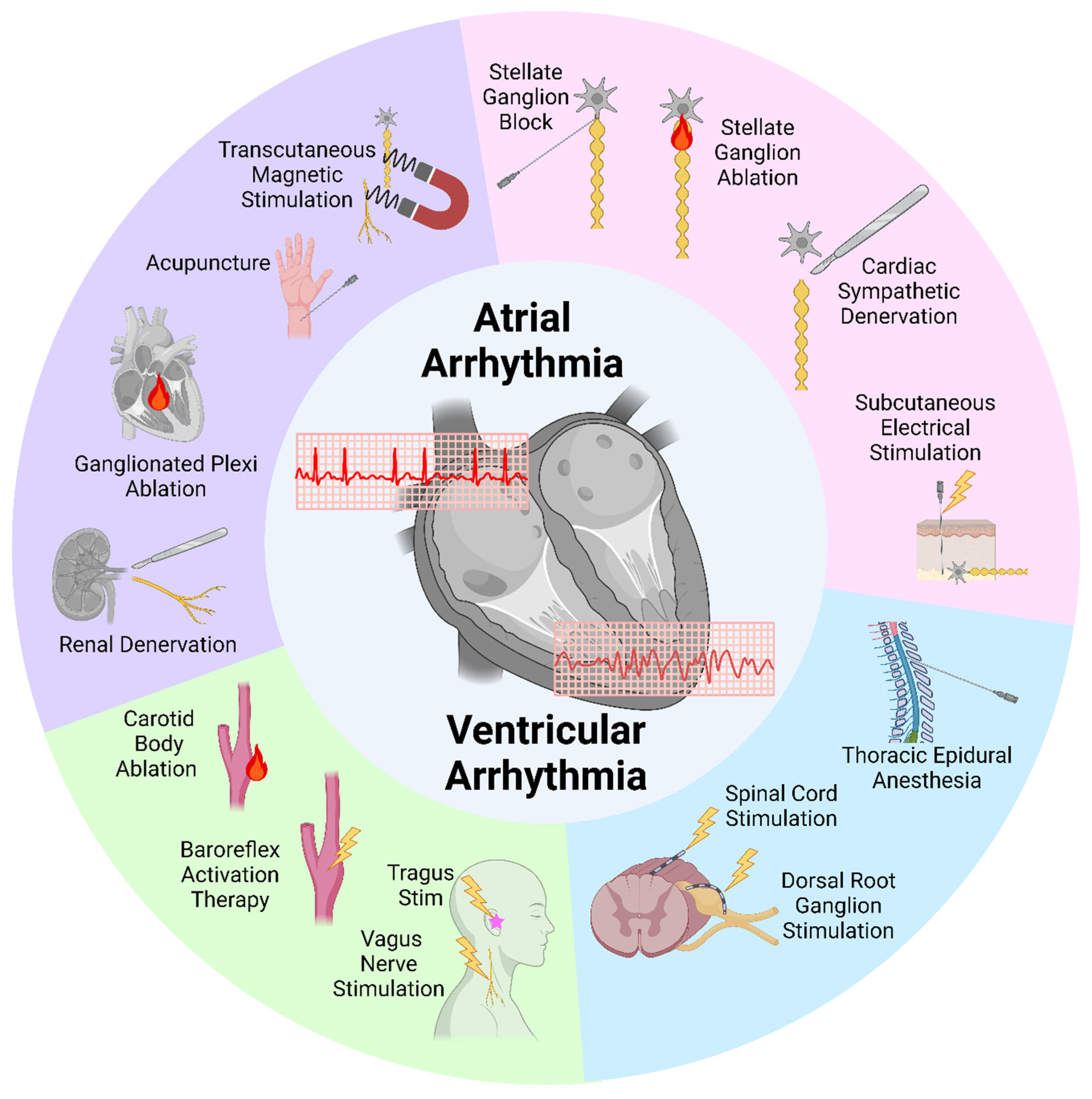 Biomedicines 13 01776 g001