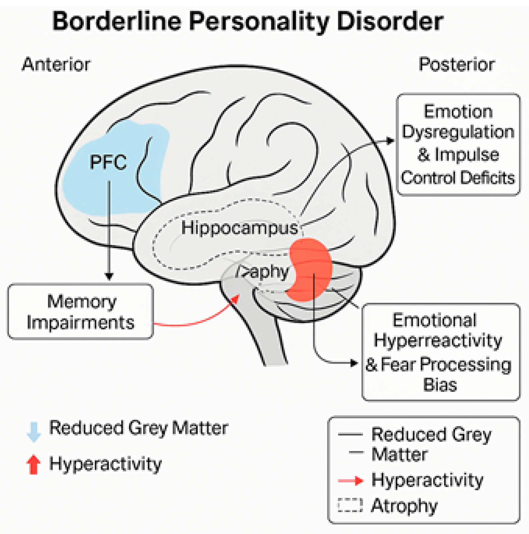 Biomedicines 13 01783 g002