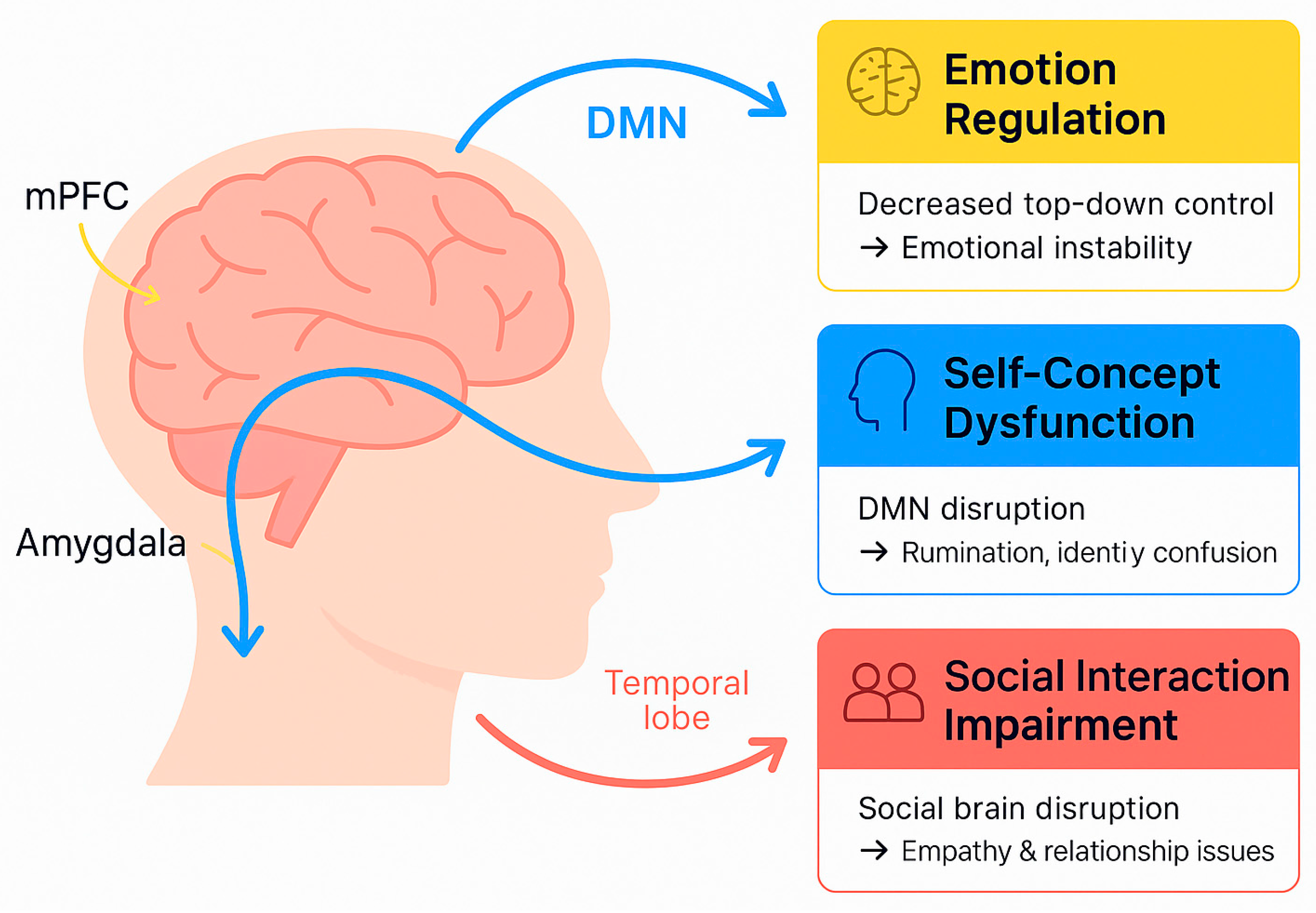Biomedicines 13 01783 g004