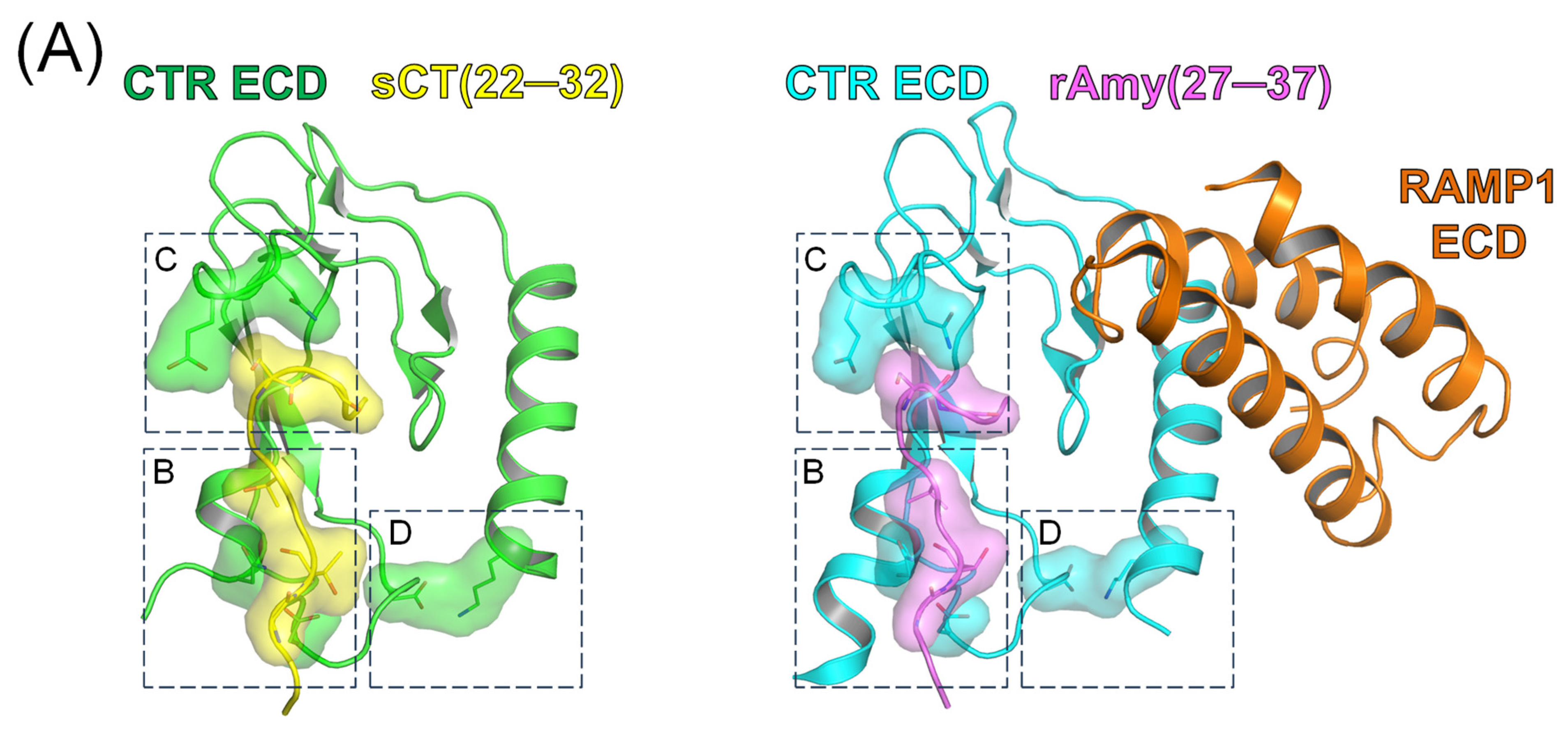 Biomedicines 13 01787 g002a