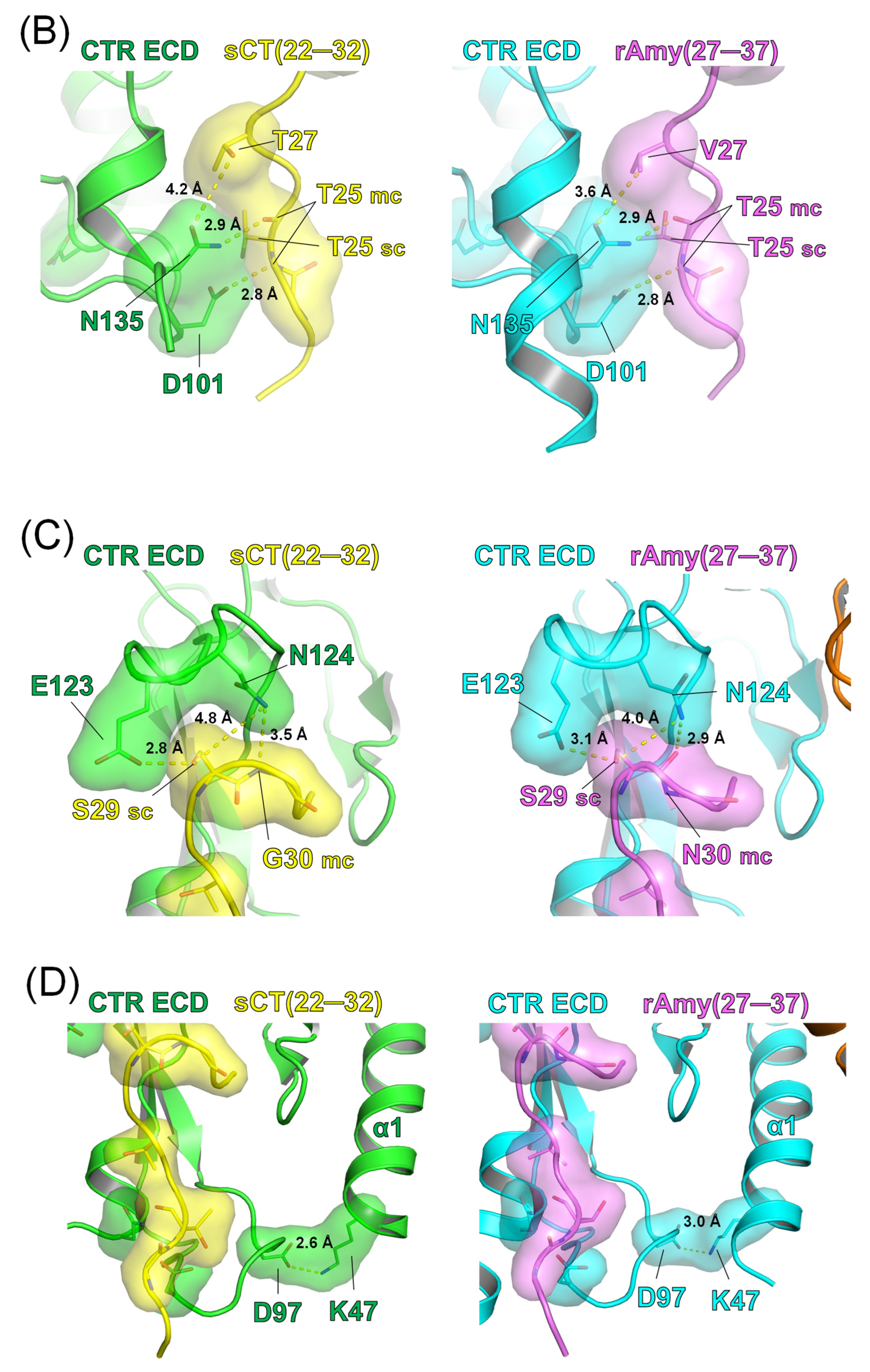 Biomedicines 13 01787 g002b