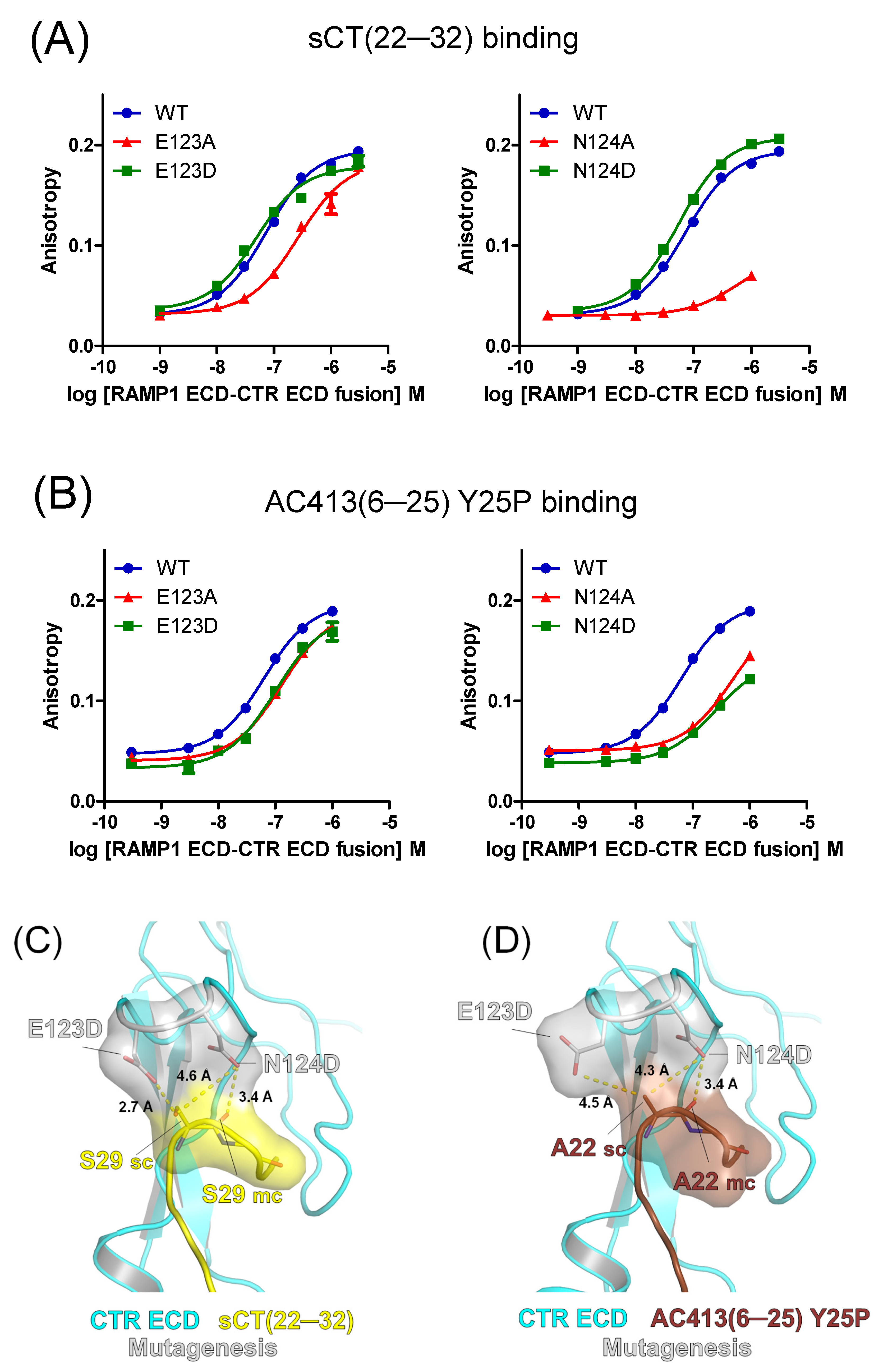 Biomedicines 13 01787 g004
