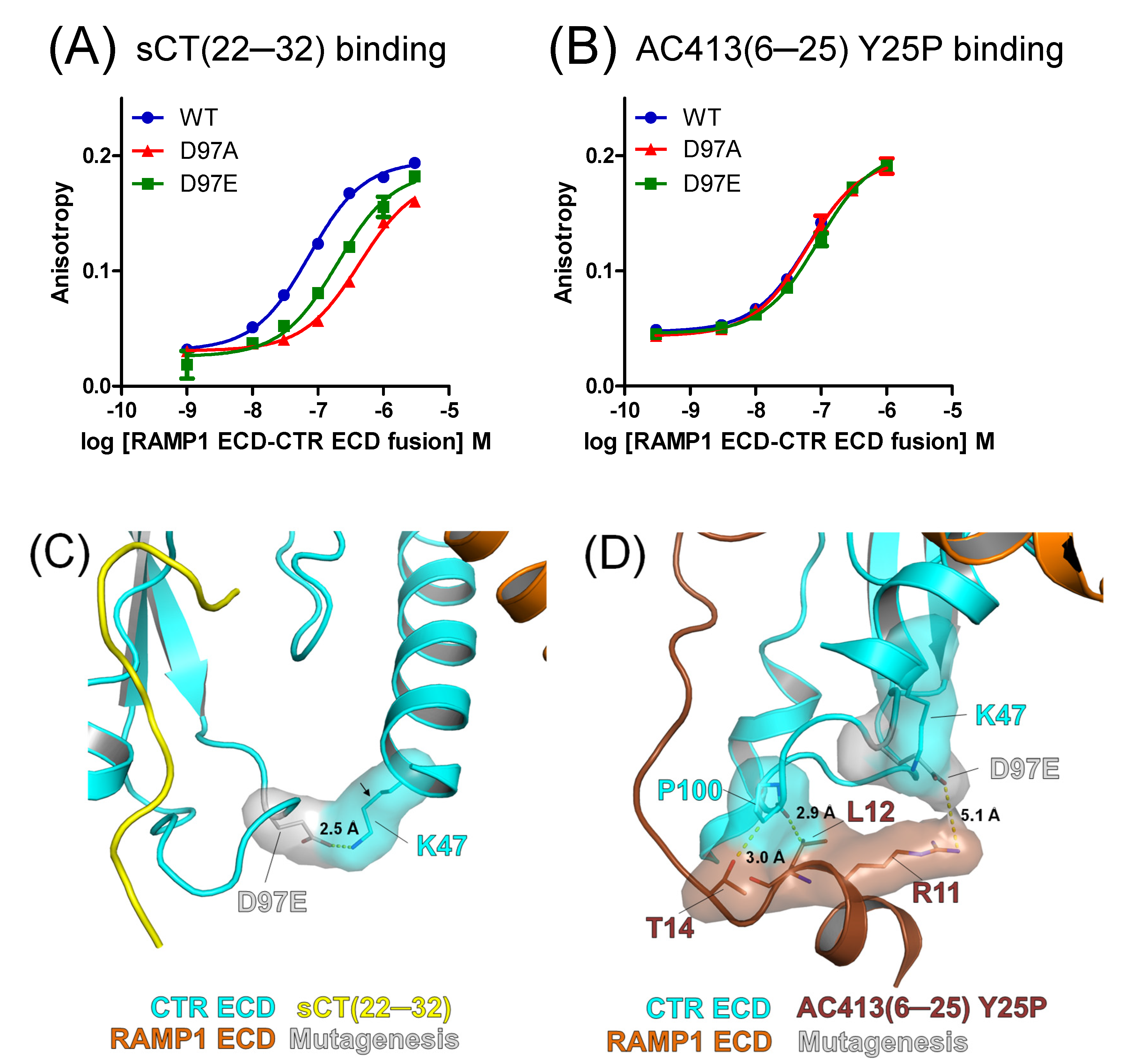 Biomedicines 13 01787 g005