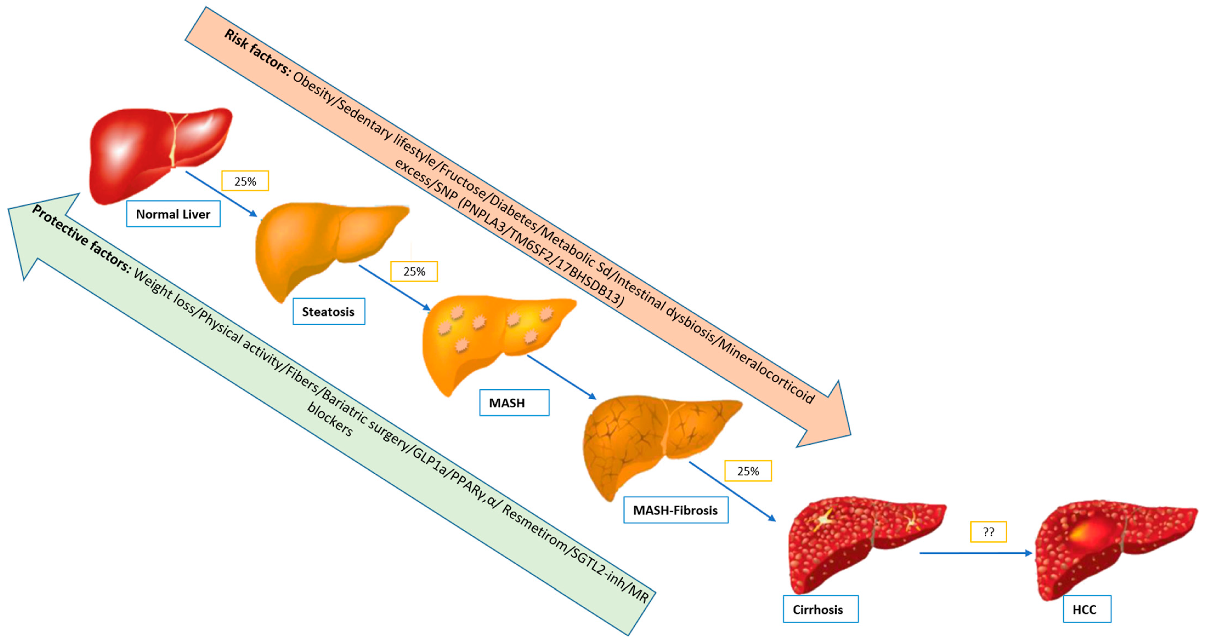 Biomedicines 13 01792 g001