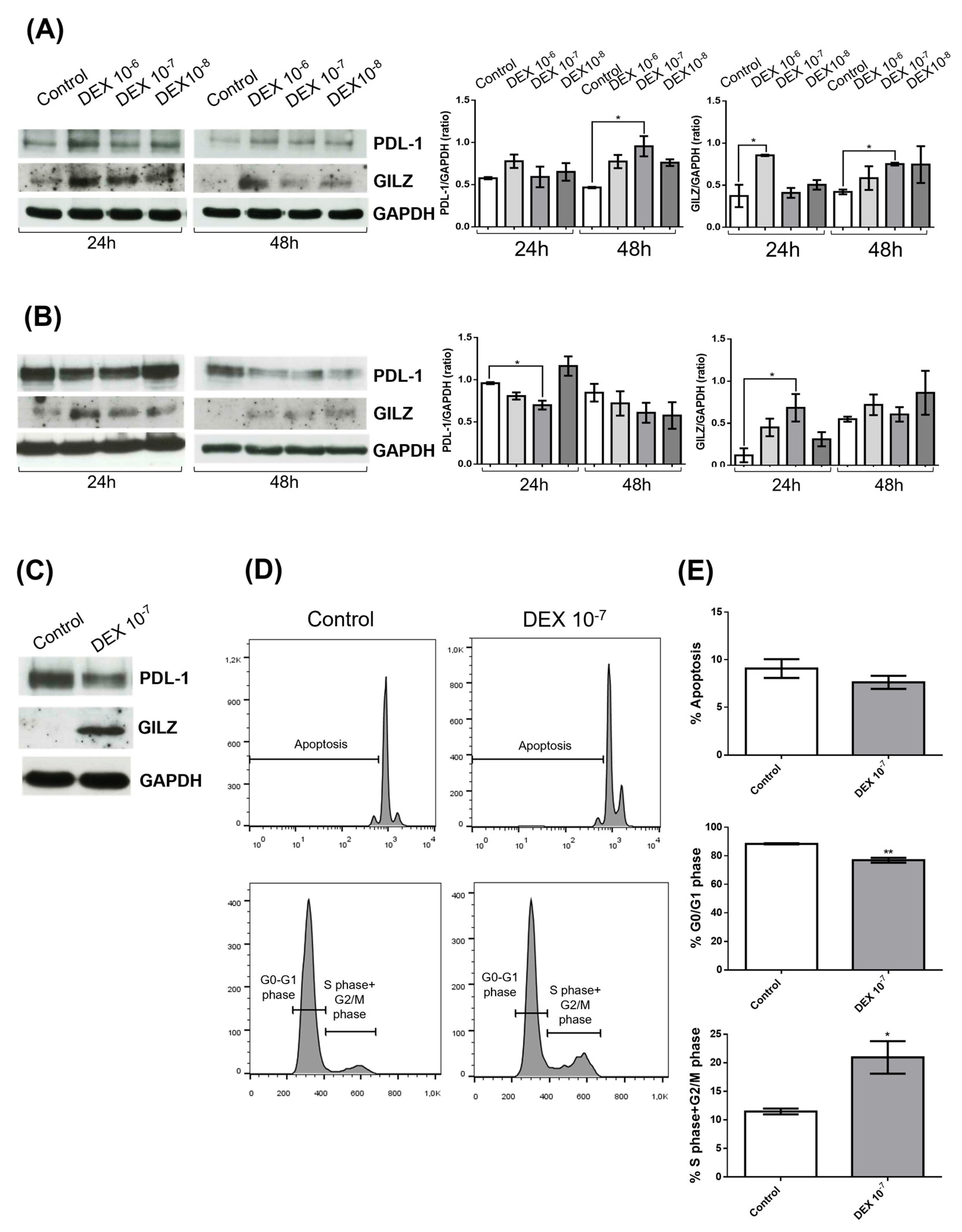 Biomedicines 13 01793 g001