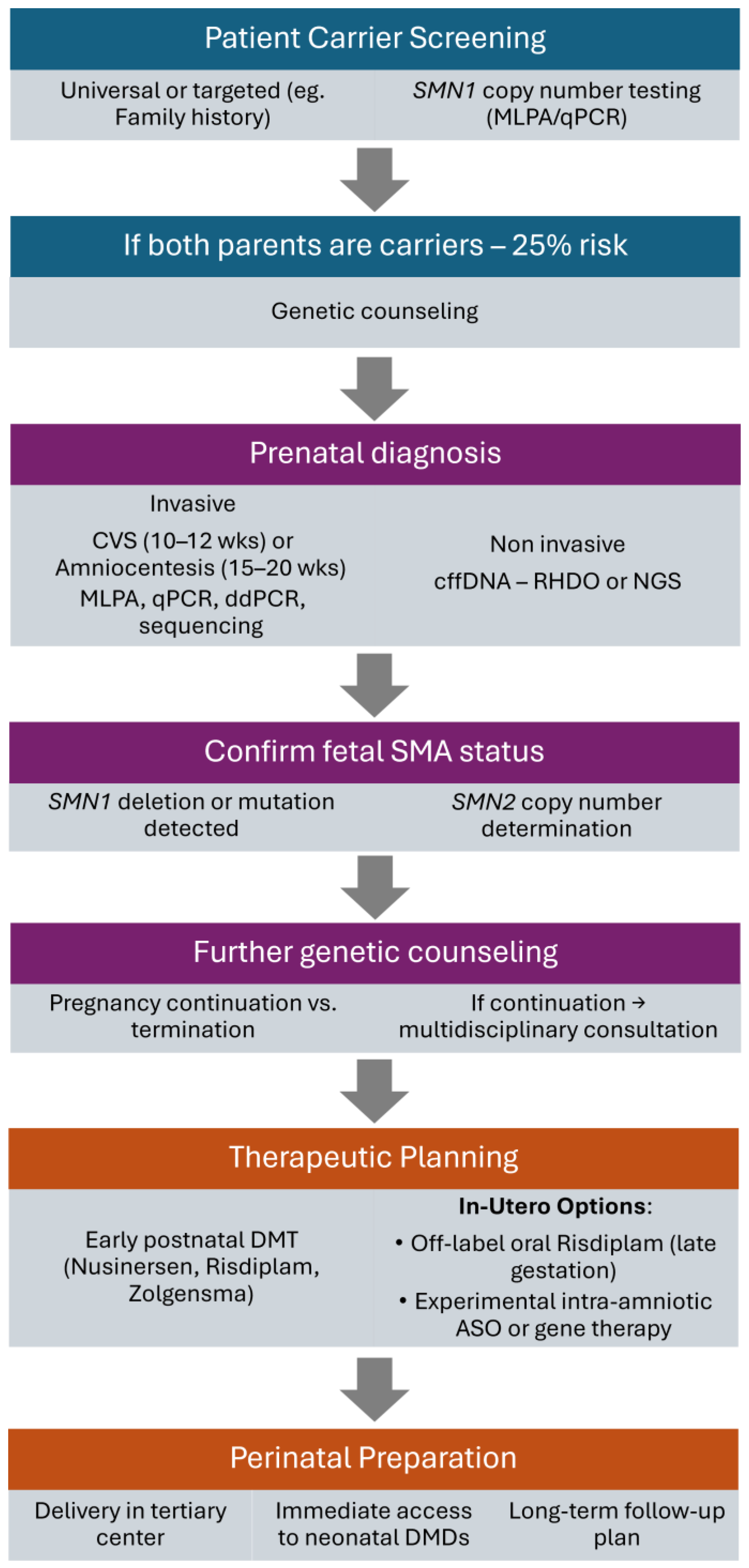 Biomedicines 13 01796 g001