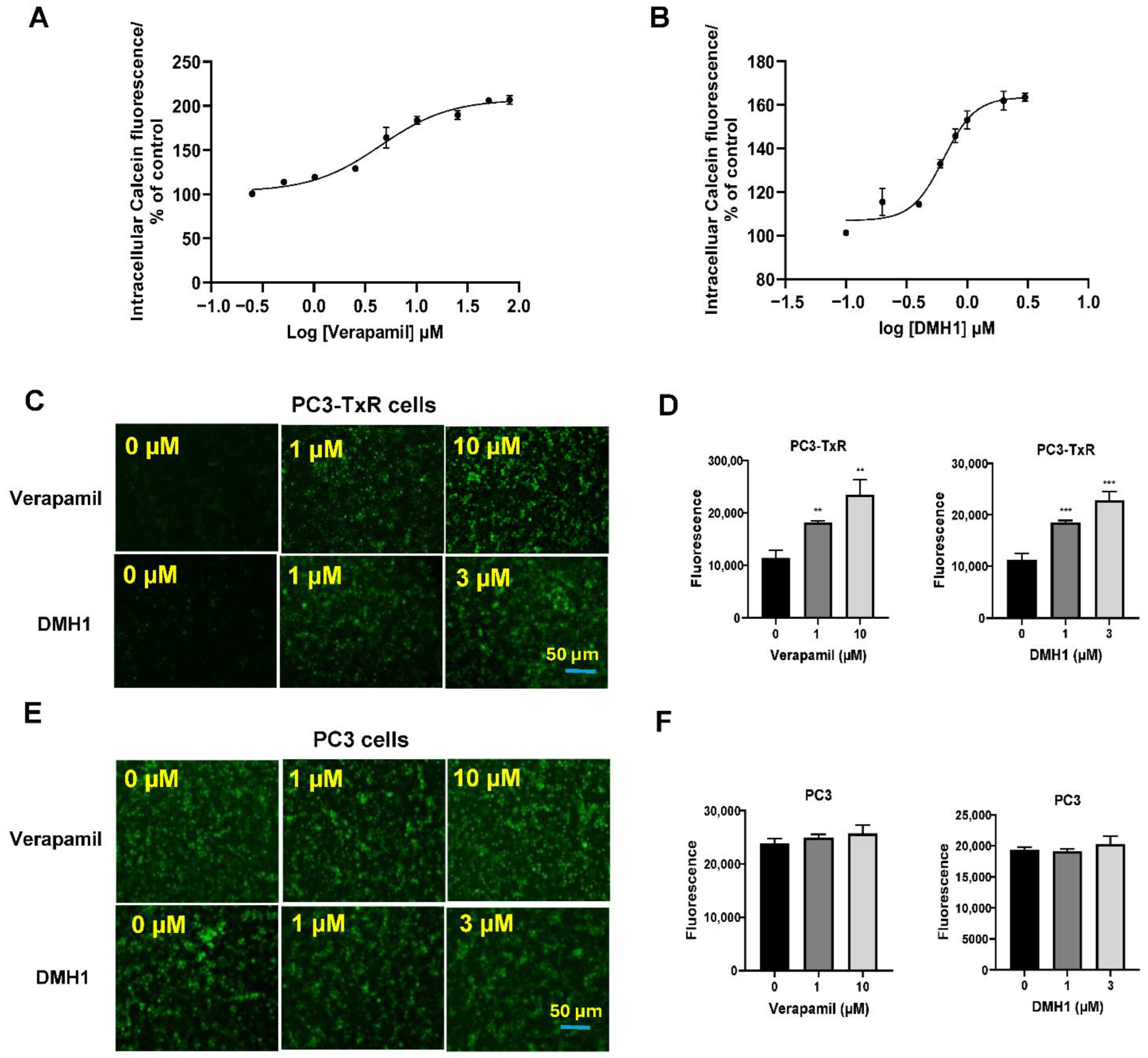 Biomedicines 13 01798 g002