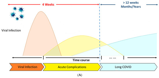 Biomedicines 13 01801 g001a Biomedicines 13 01801 g001a