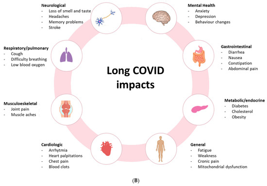 Biomedicines 13 01801 g001b