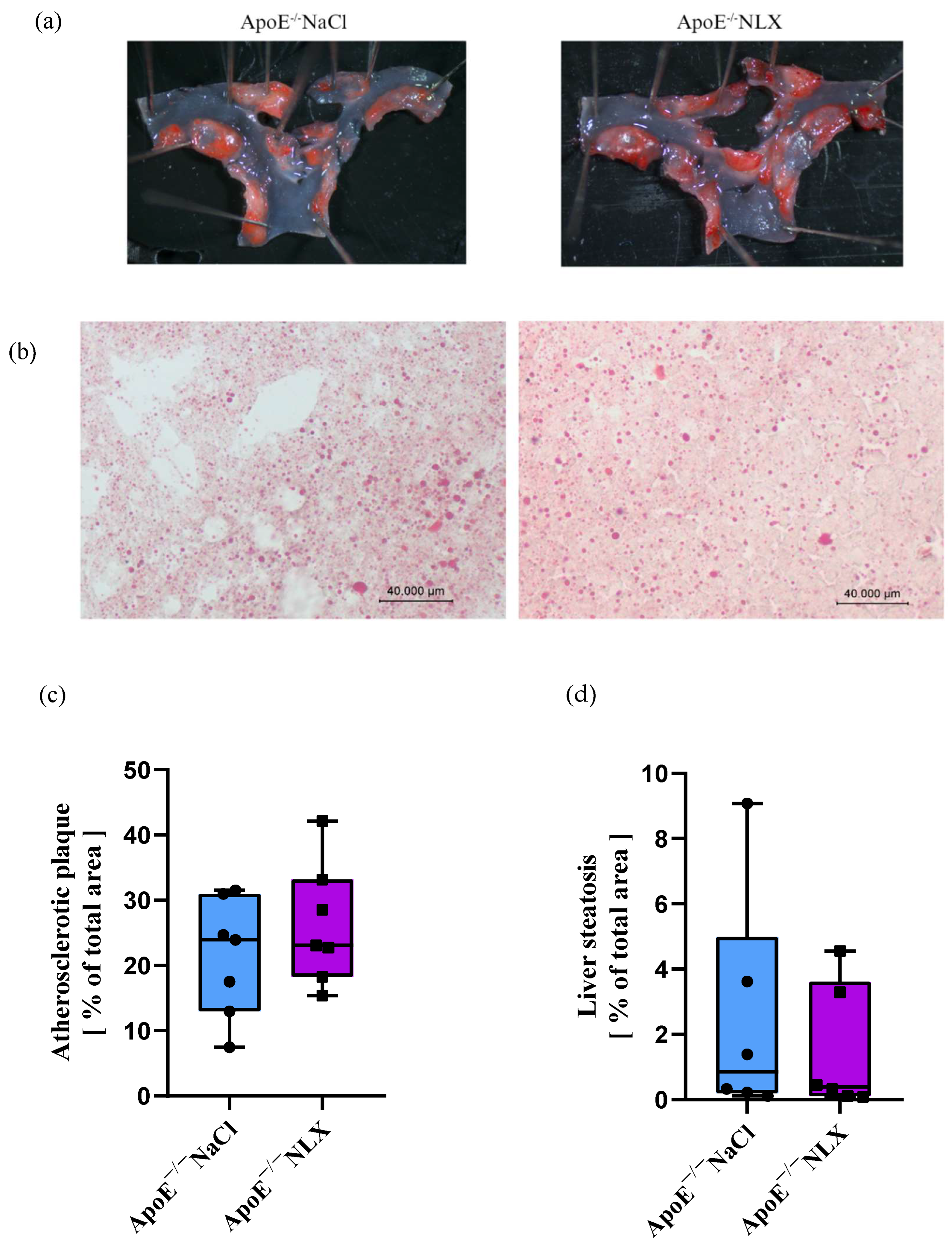 Biomedicines 13 01802 g002