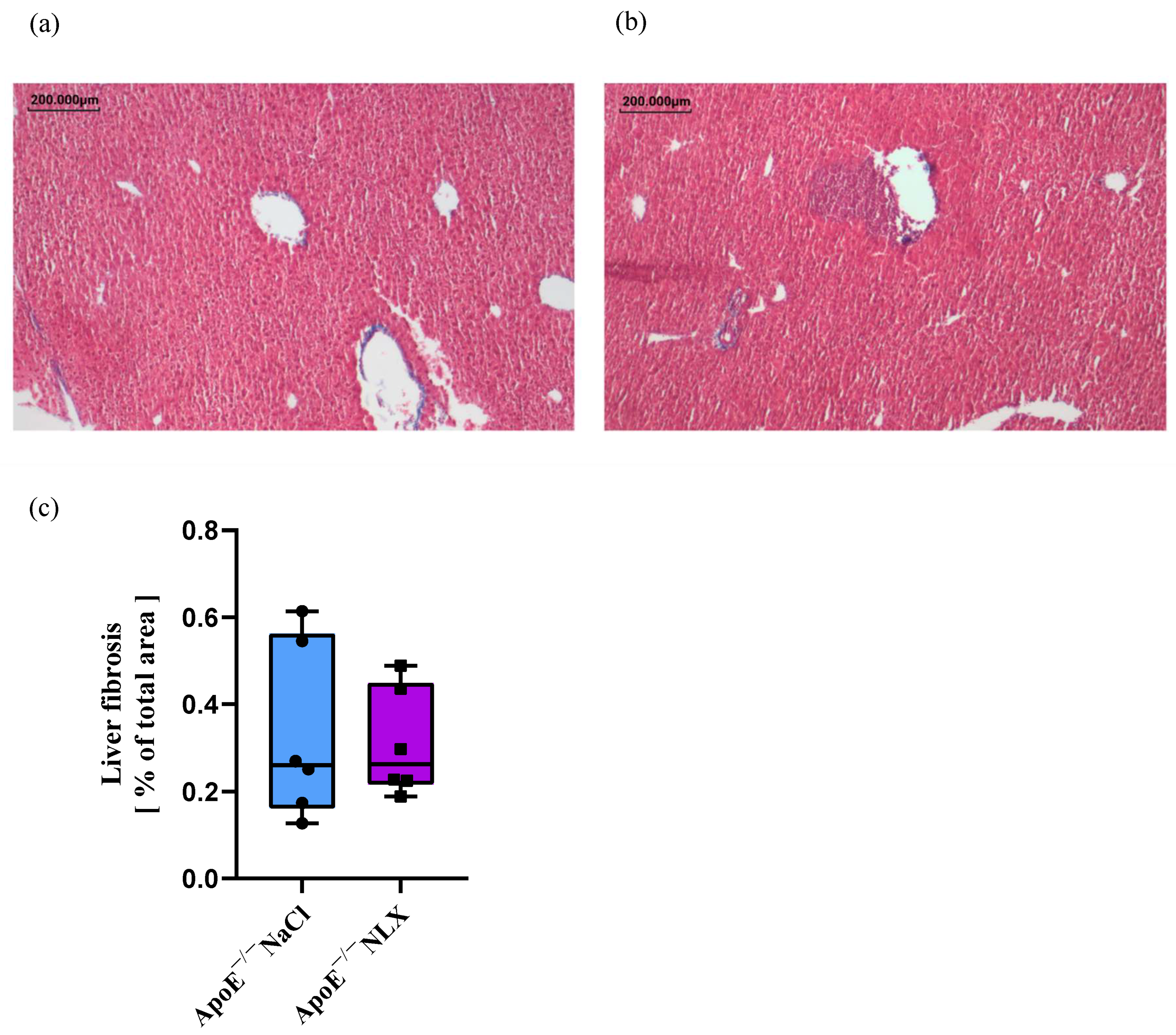 Biomedicines 13 01802 g004