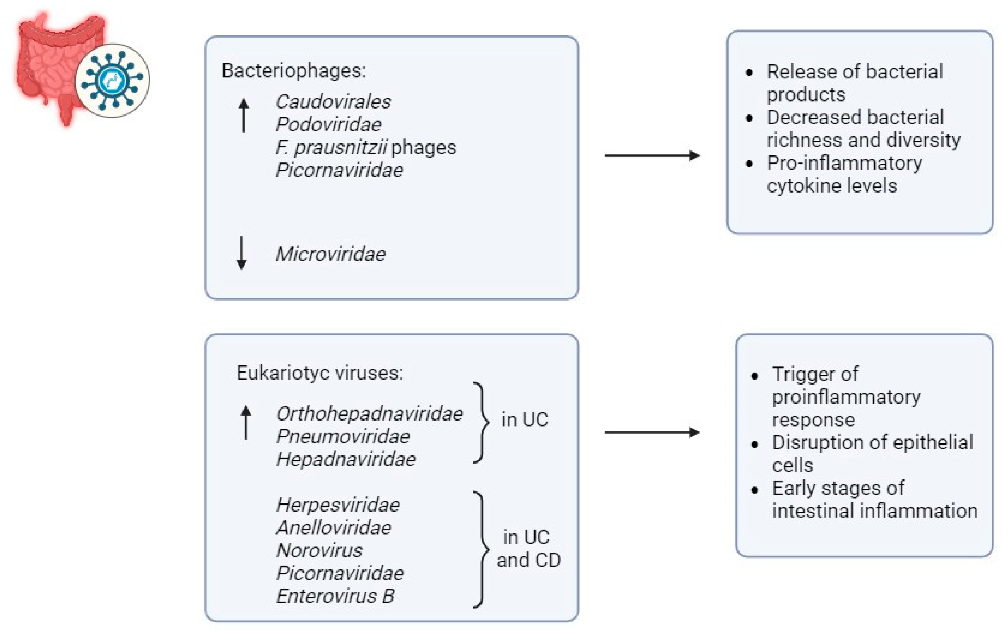 Biomedicines 13 01807 g004 Biomedicines 13 01807 g004