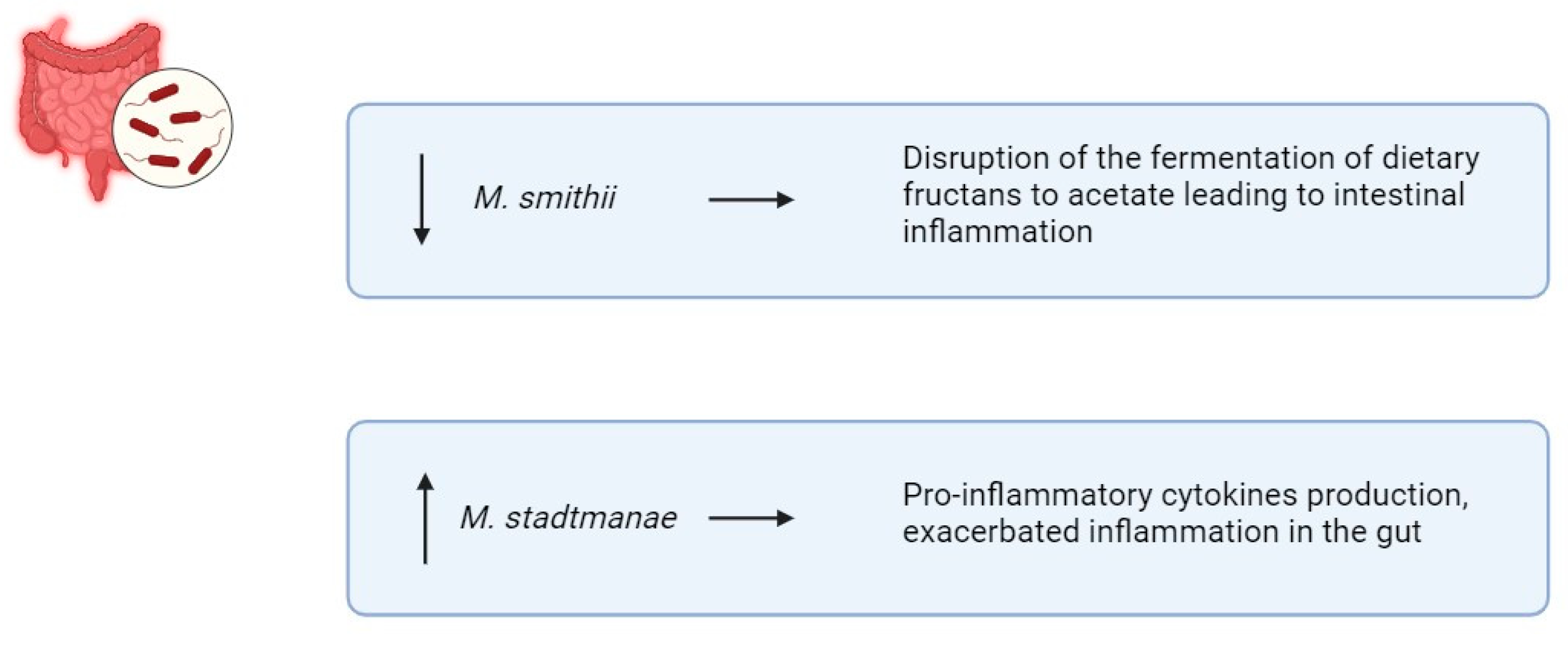 Biomedicines 13 01807 g005 Biomedicines 13 01807 g005