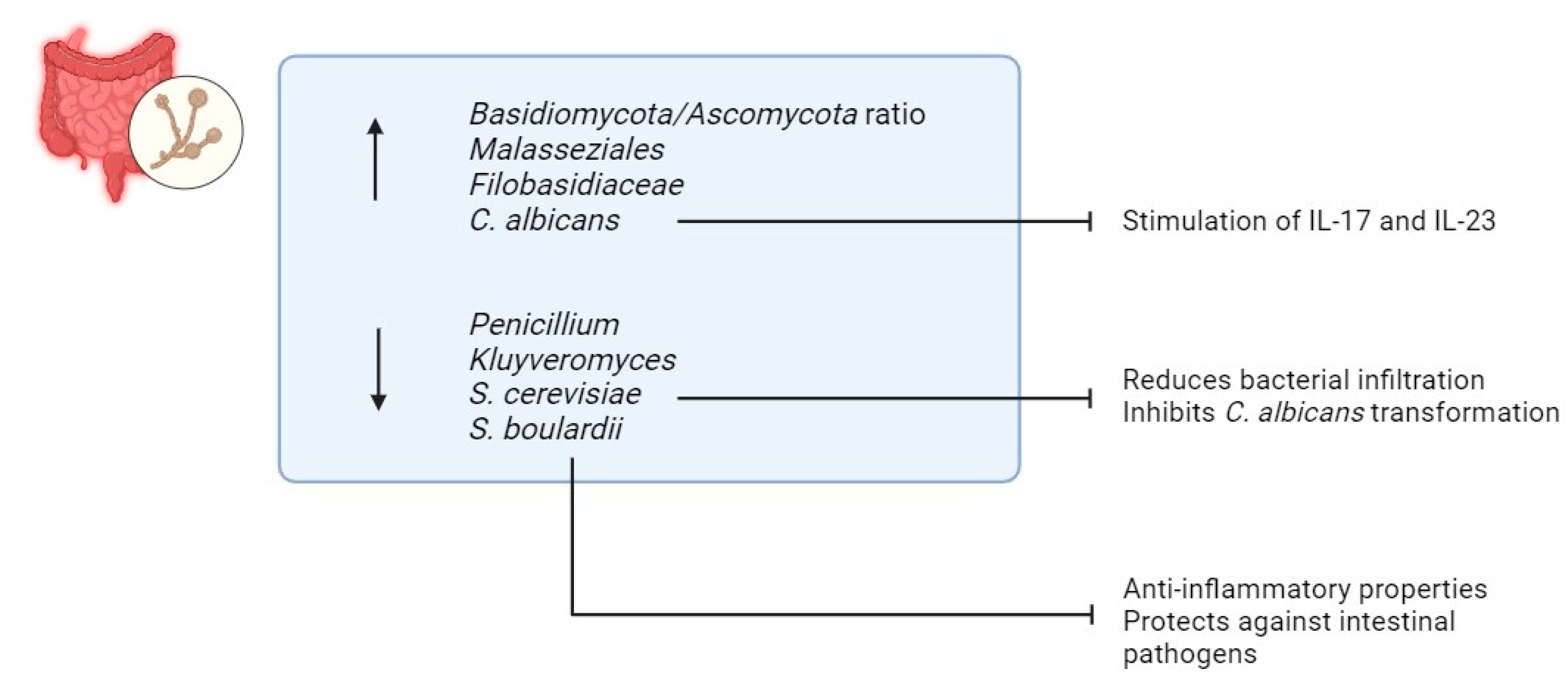 Biomedicines 13 01807 g006 Biomedicines 13 01807 g006