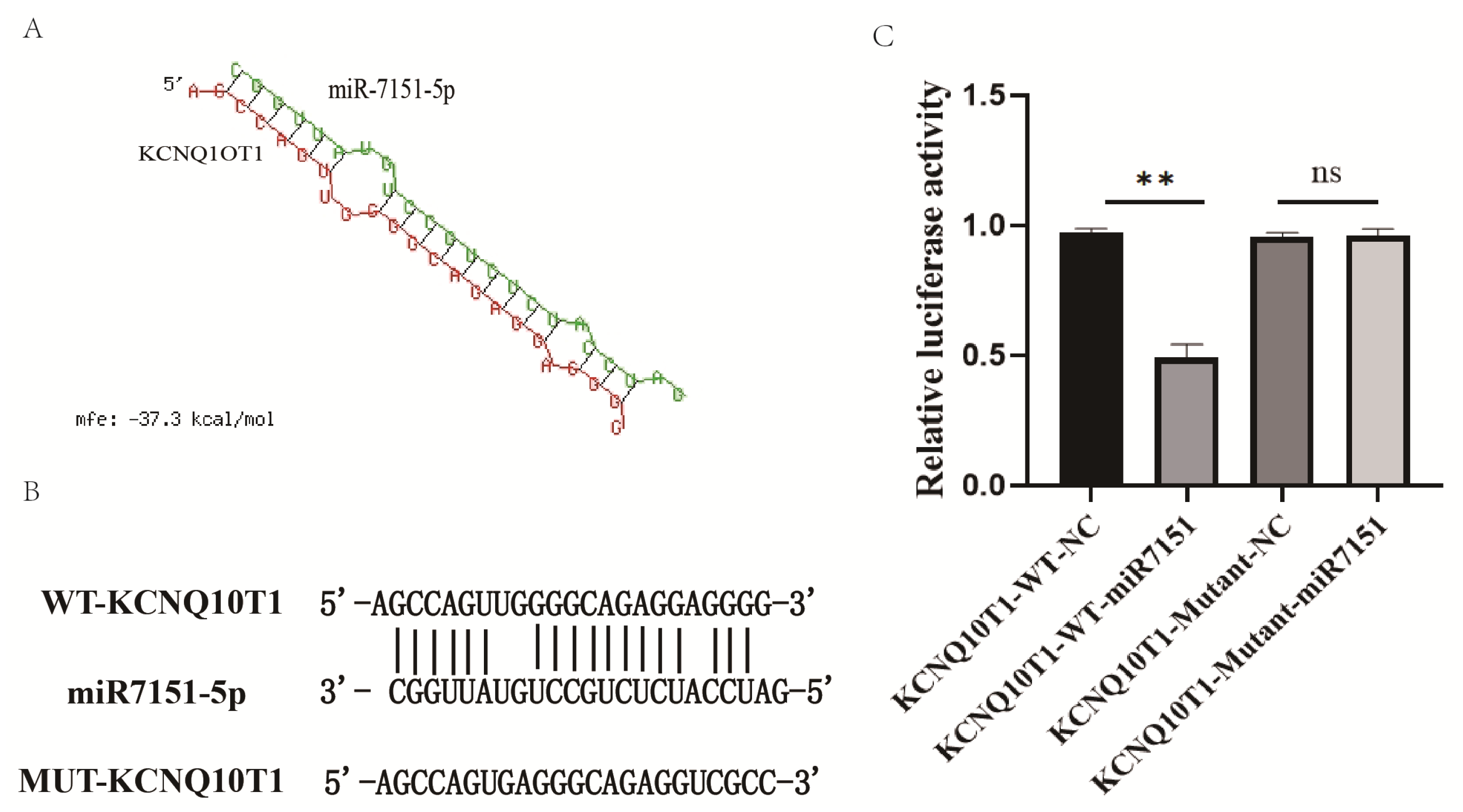 Biomedicines 13 01813 g001