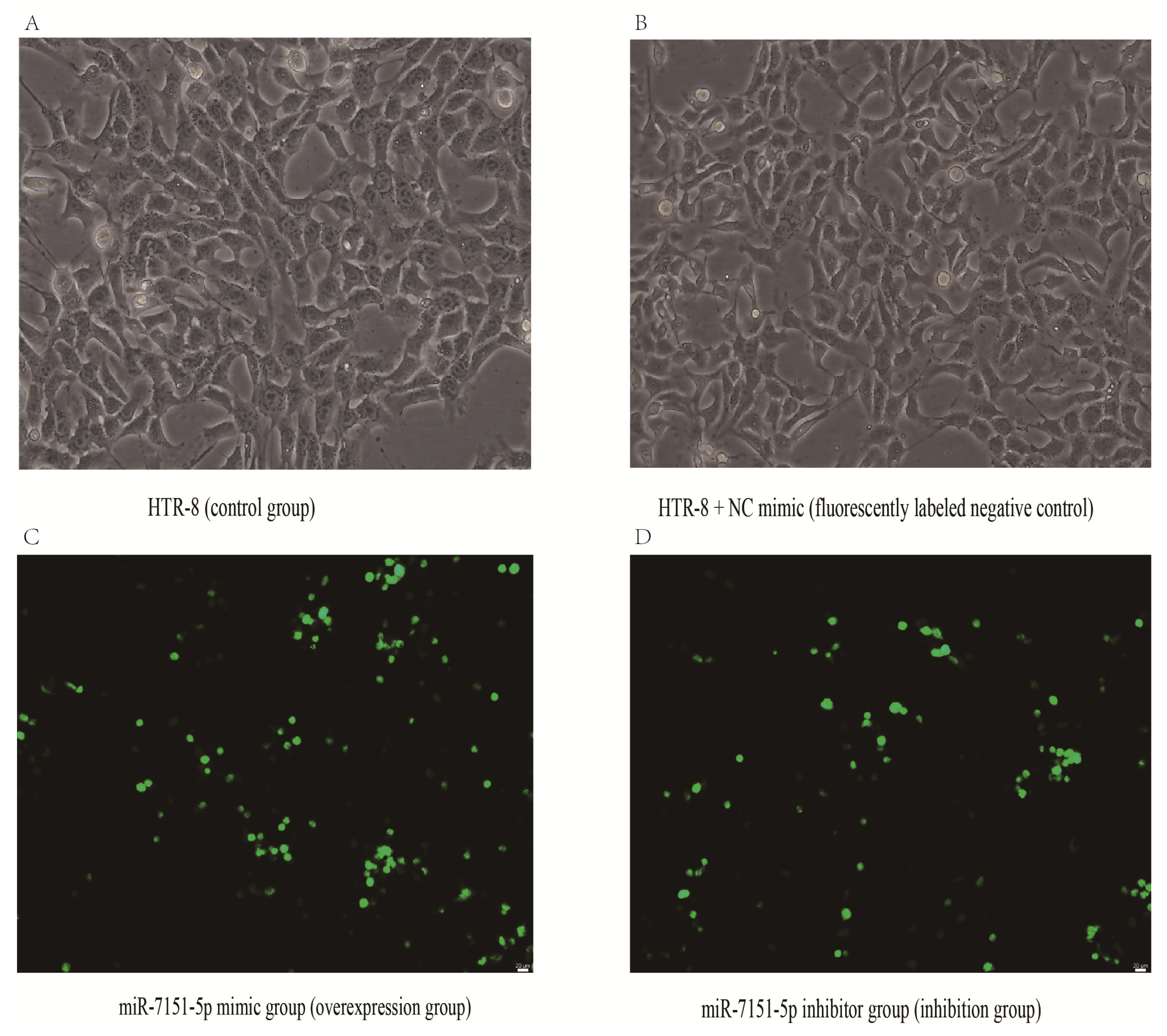 Biomedicines 13 01813 g002