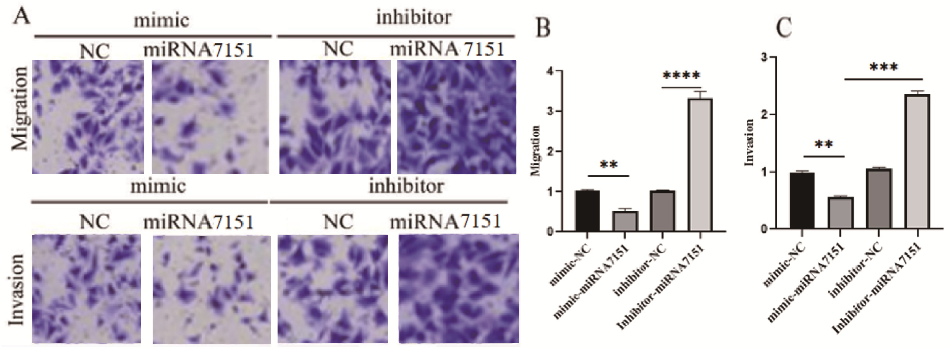 Biomedicines 13 01813 g004