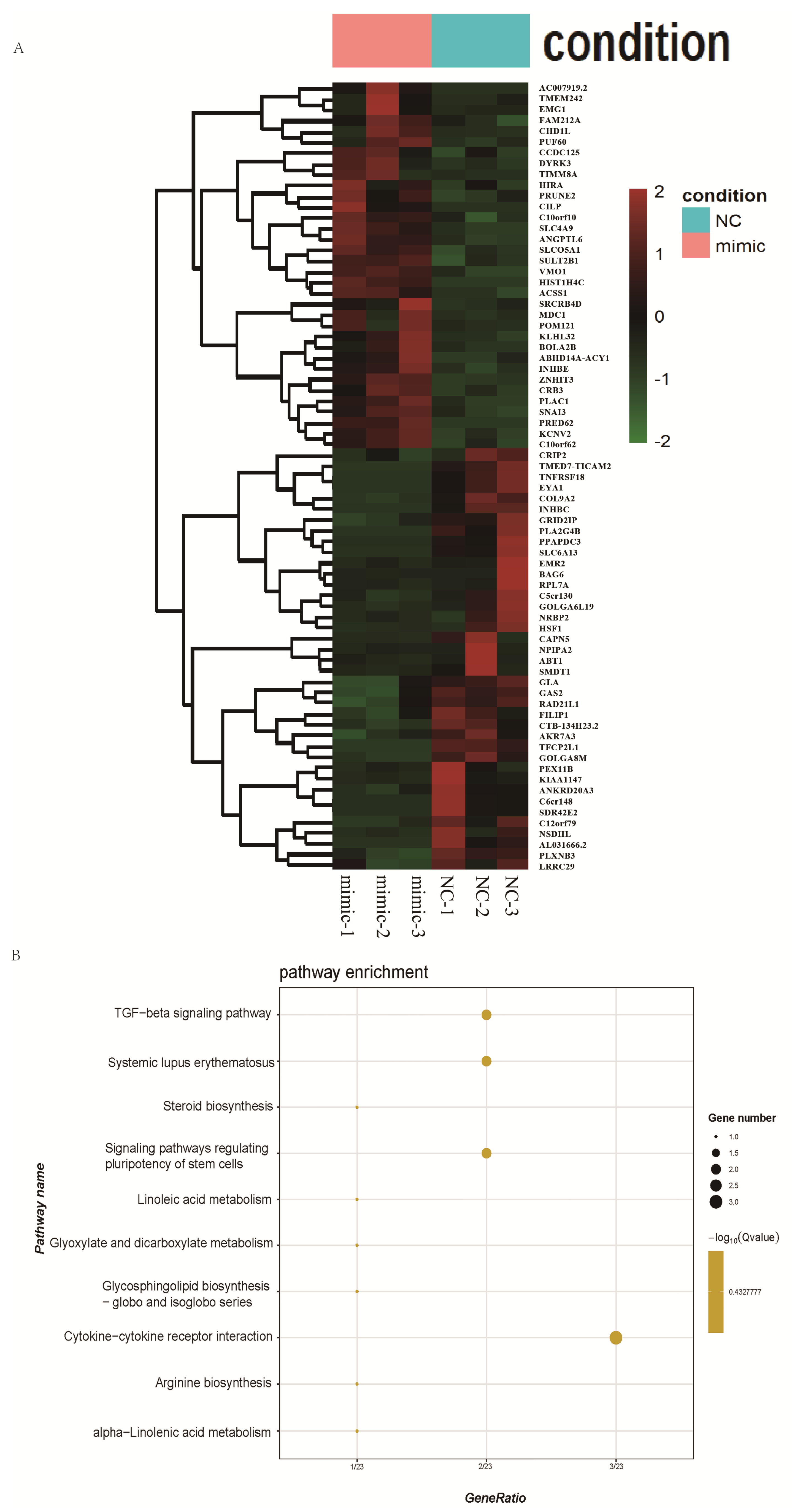 Biomedicines 13 01813 g005